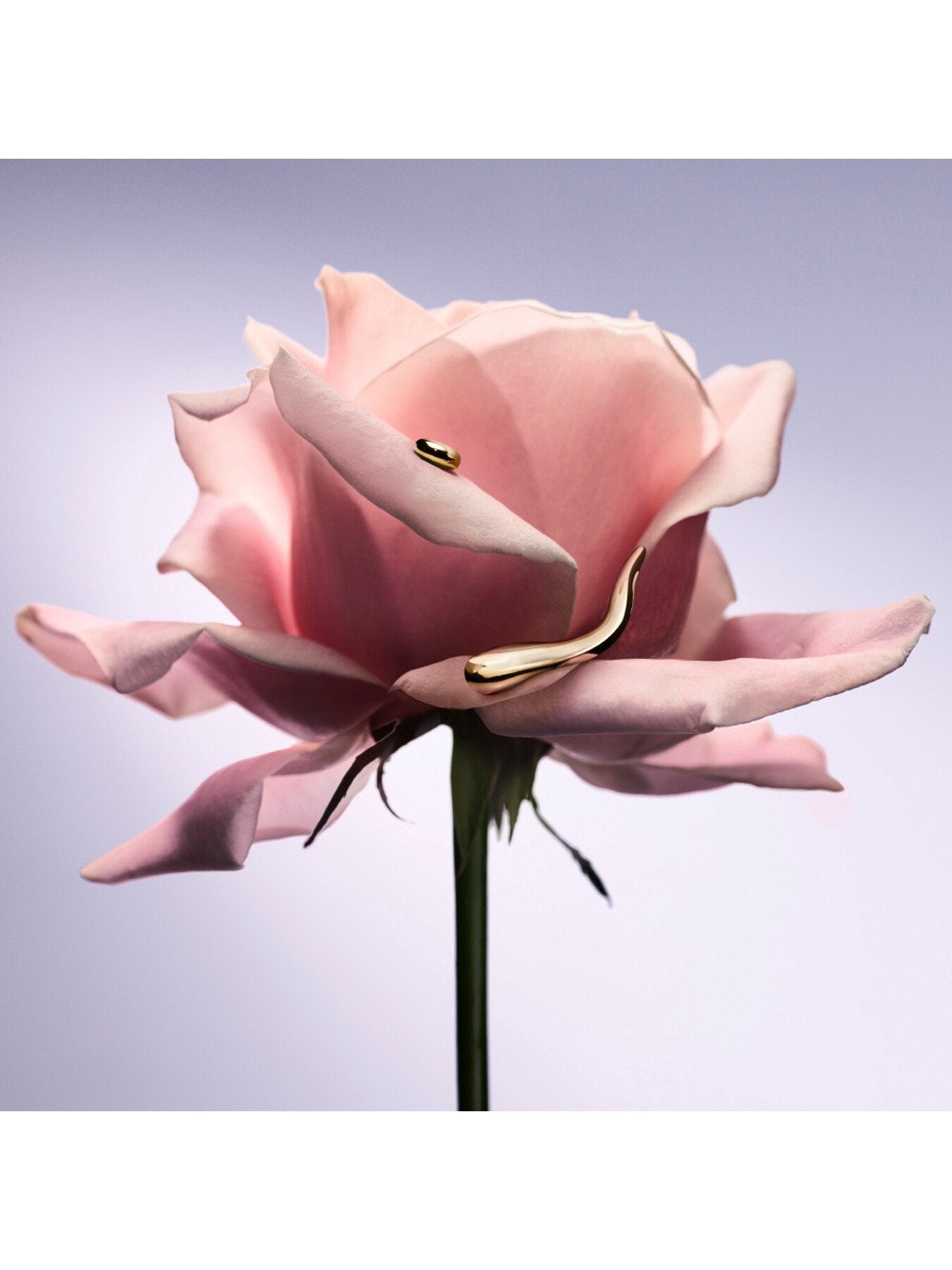 Lancôme La Vie Est Belle LExtrait 30ml