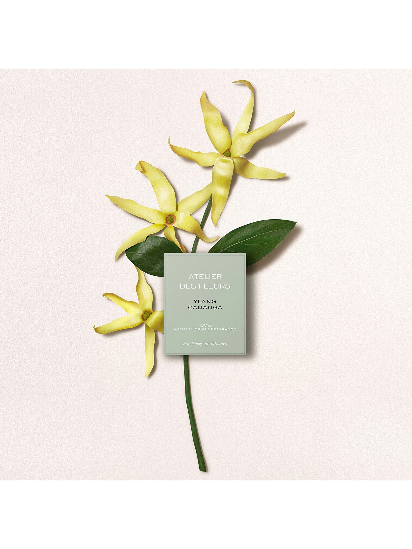 Atelier Des Fleurs Ylang Cananga Eau de Parfum 50ml