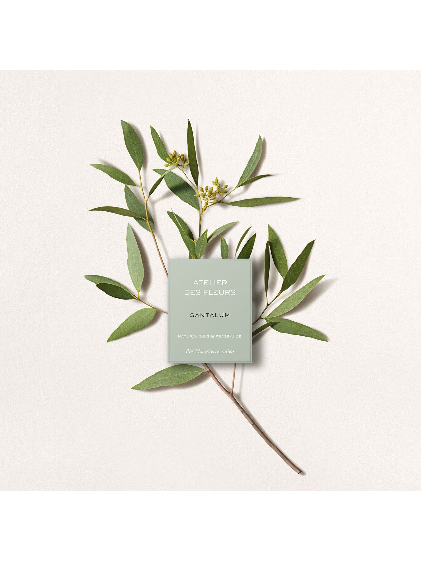 Atelier Des Fleurs Santalum Eau de Parfum 150ml