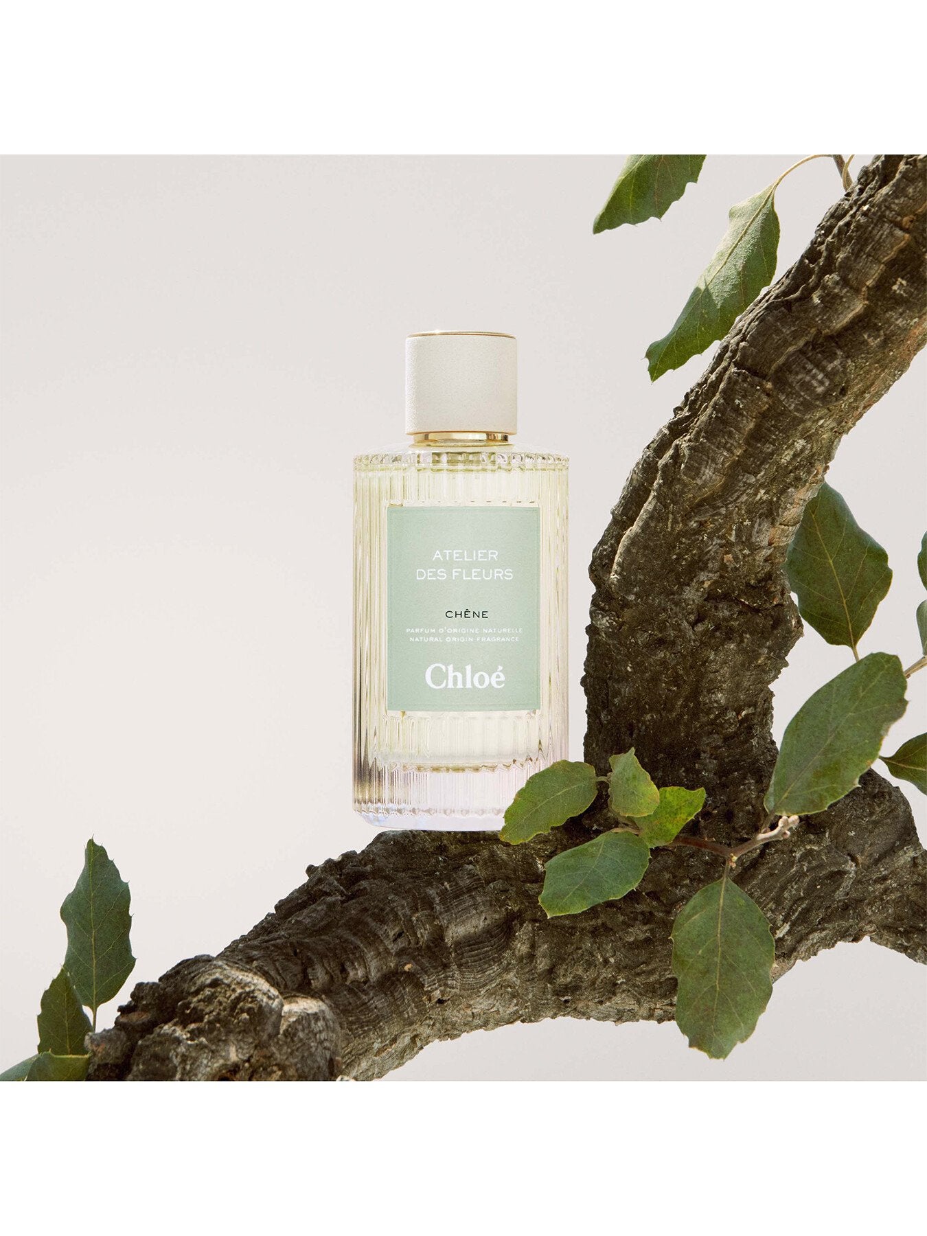 Atelier Des Fleurs Chene Eau de Parfum 50ml