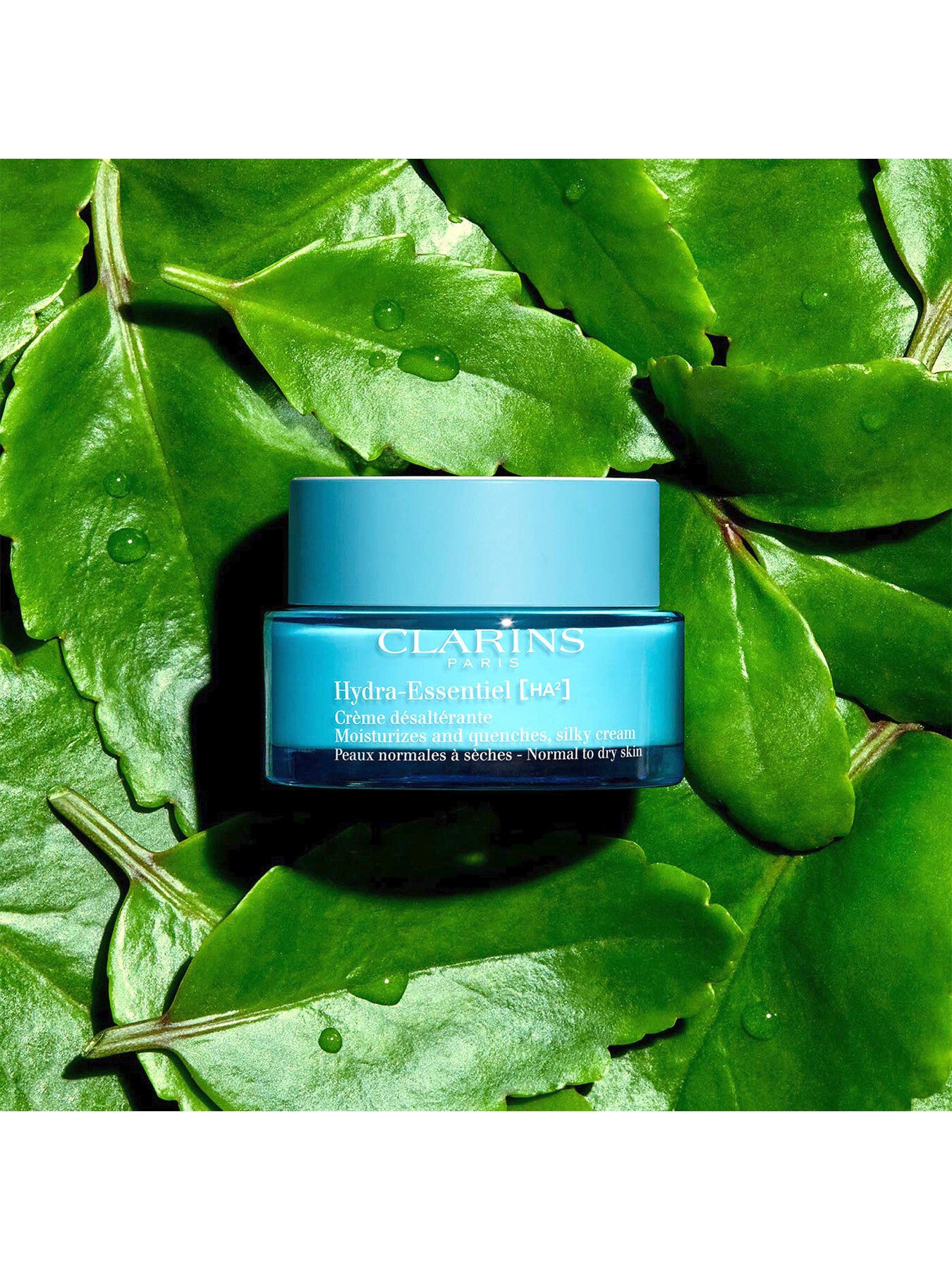 Hydra -Essentiel HA² Silky Cream