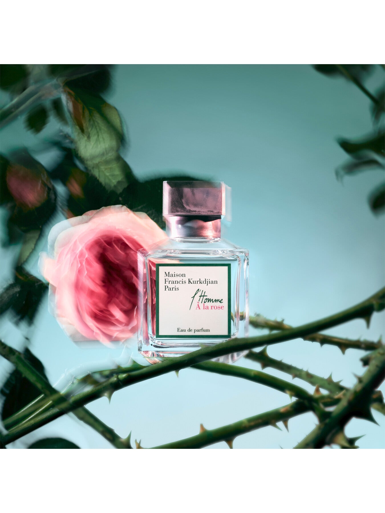 lHomme À la rose Eau de Parfum 70ml