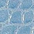 PALE BLUE
