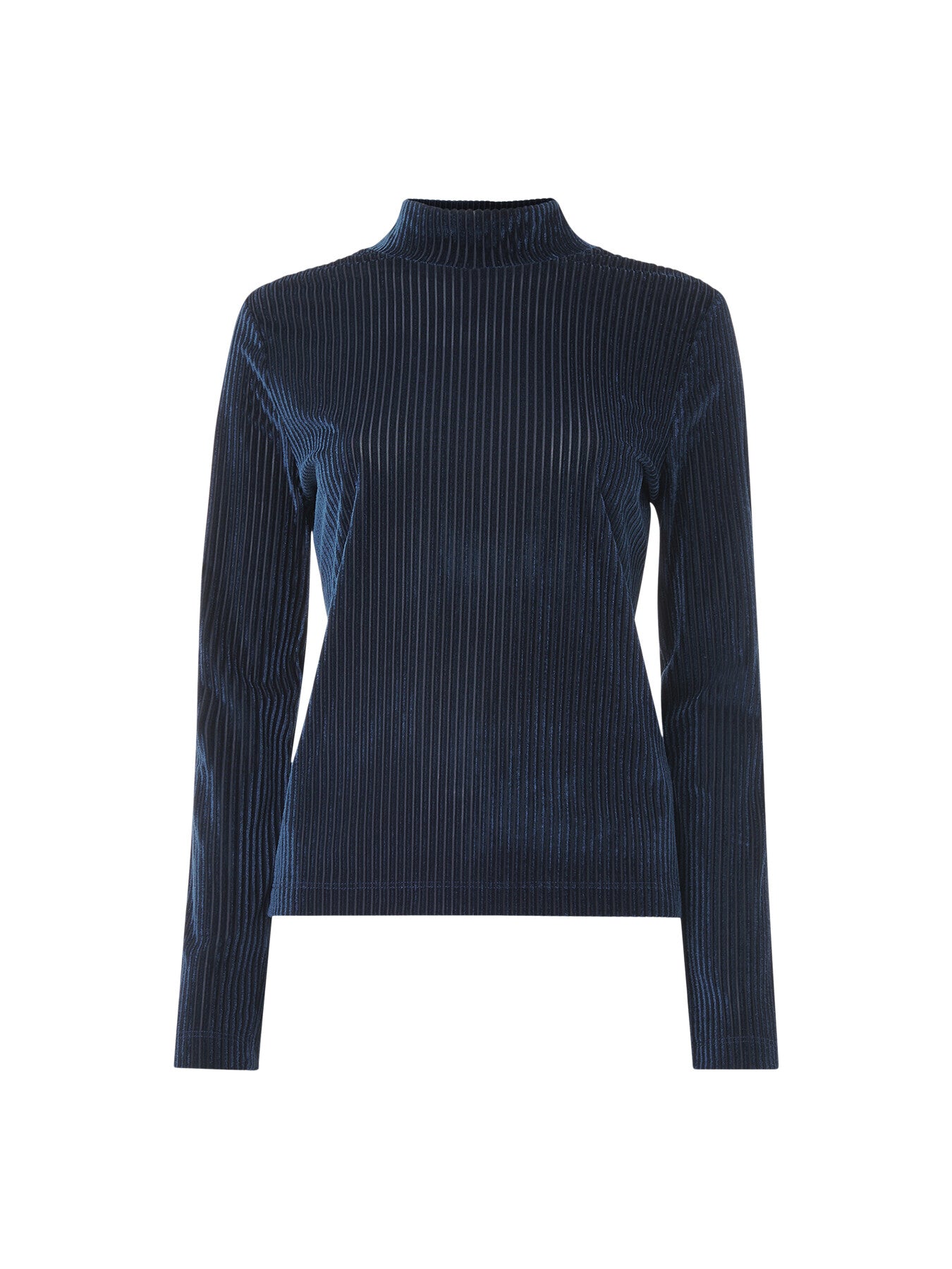 Velvet Stripe High Neck Top