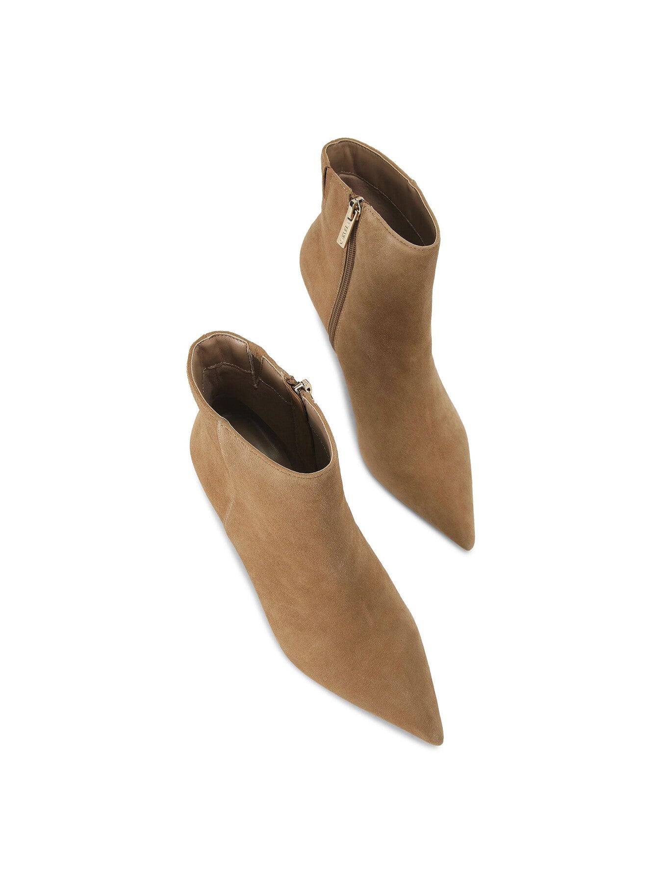 PURPOSE ANKLE