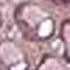 PALE PINK