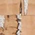 BONE