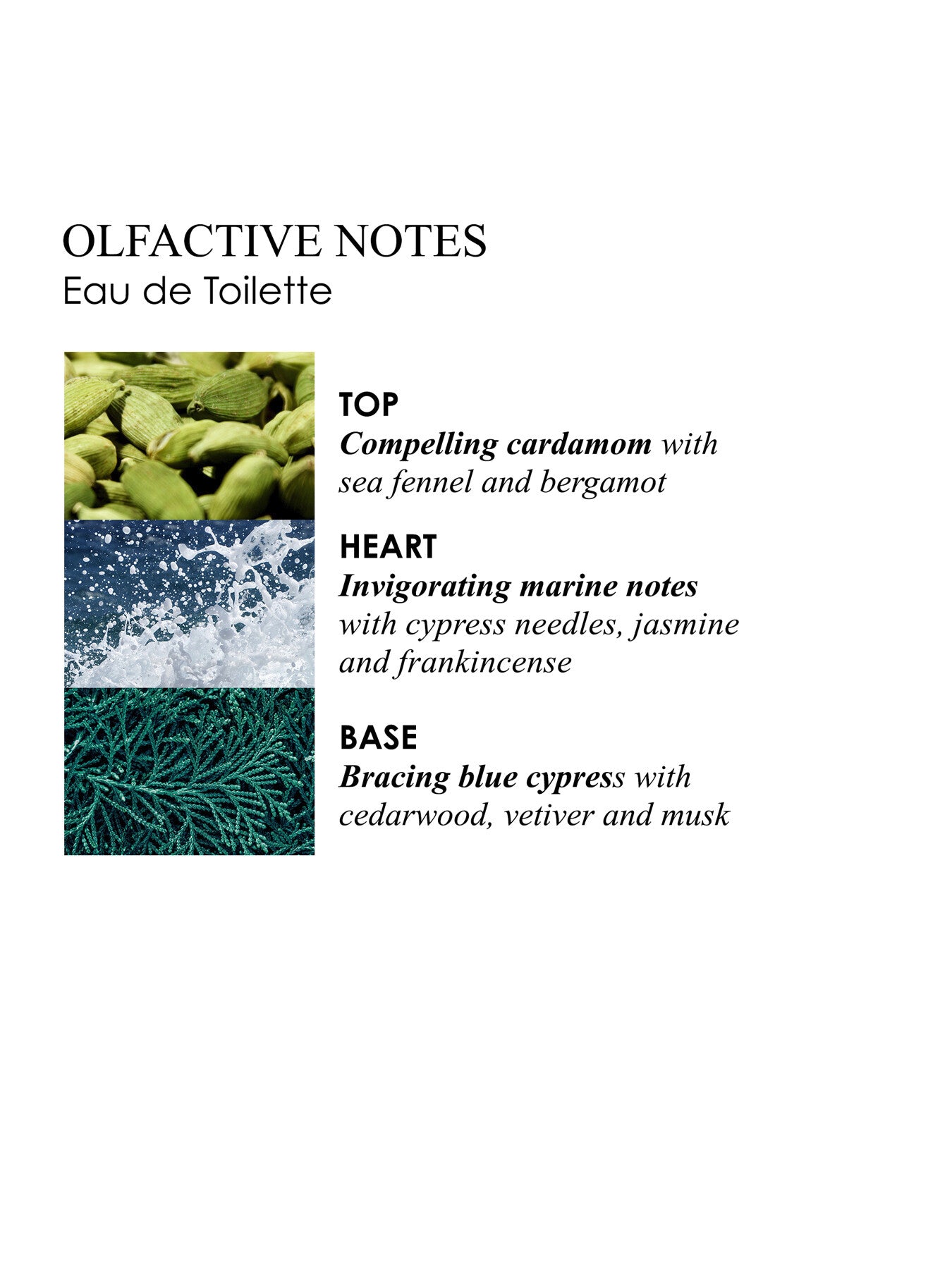 Coastal Cypress and Sea Fennel Hand Care Collection