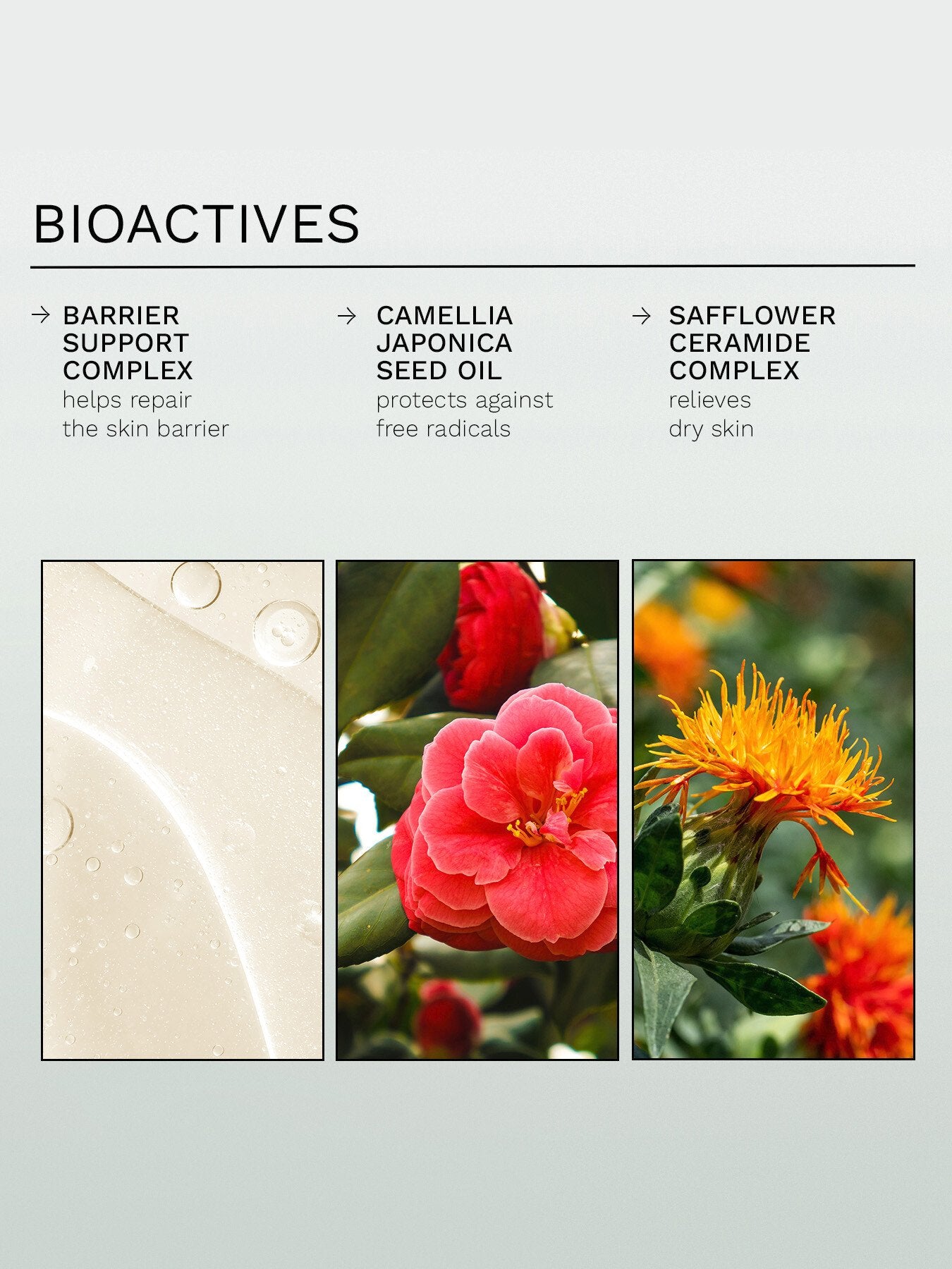 Evercalm™ Barrier Support Body Balm