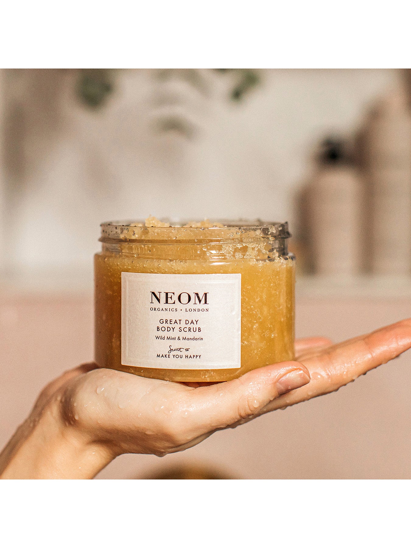 Great Day Body Scrub