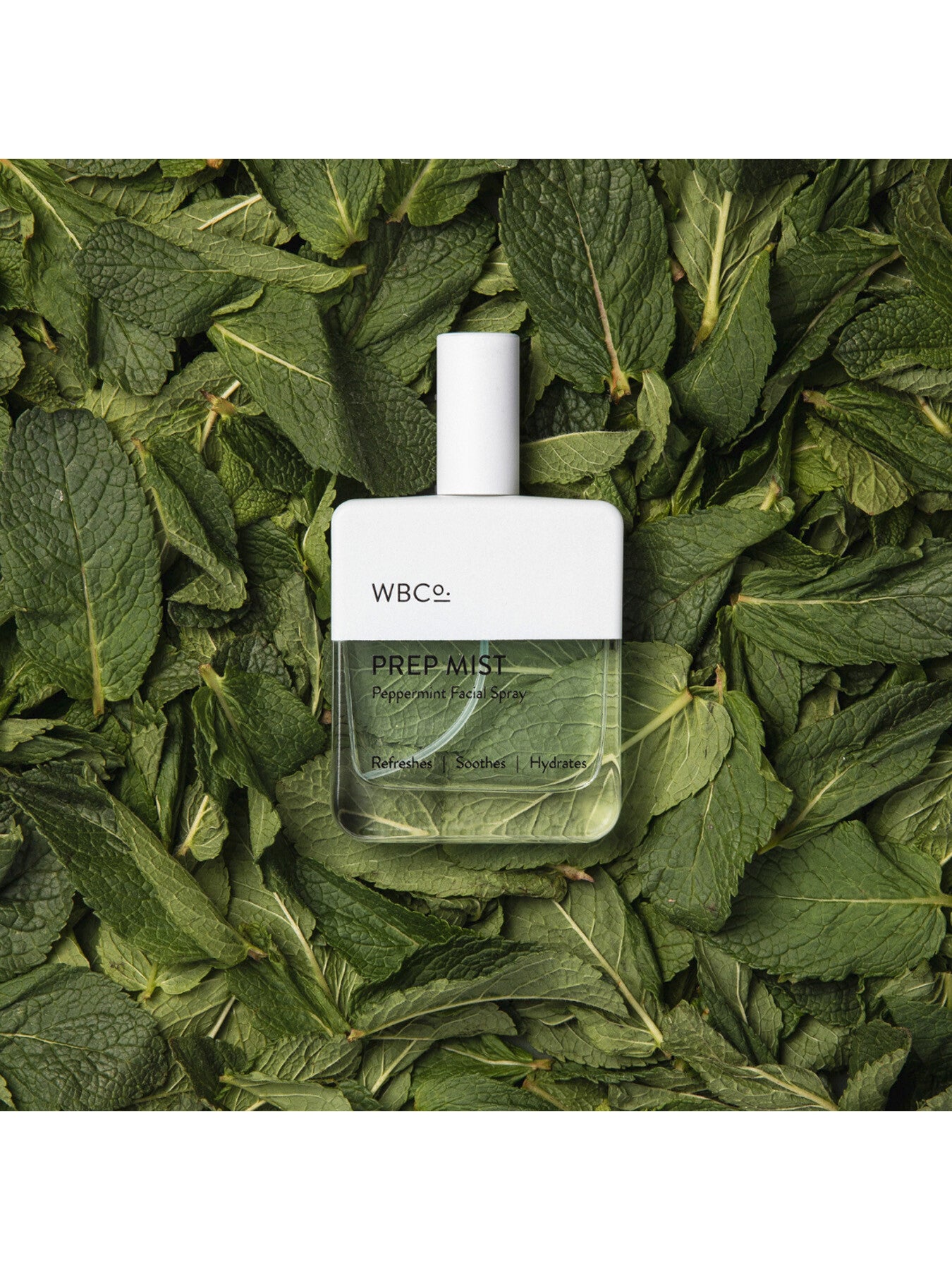 Peppermint Prep Mist