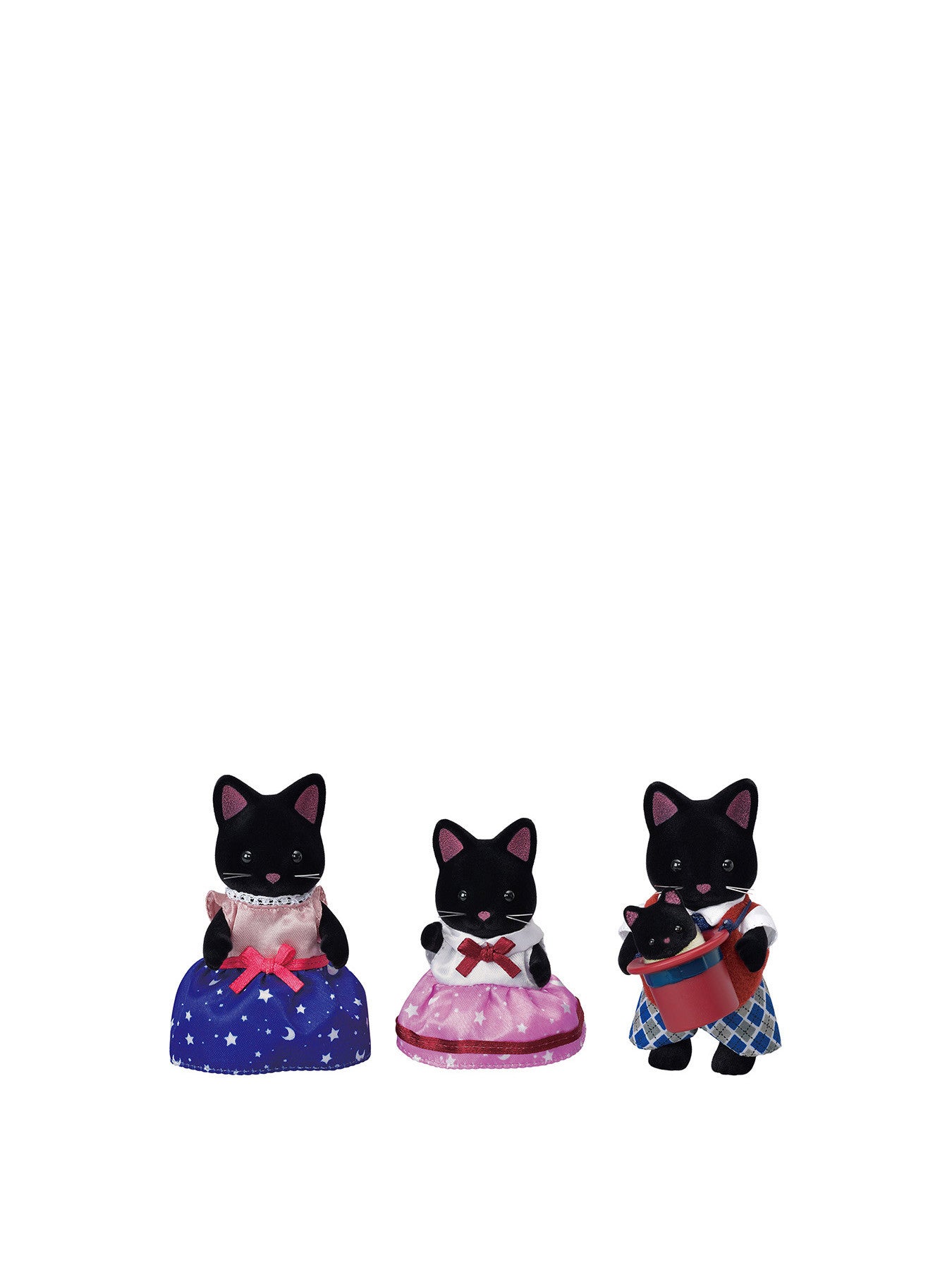Midnight Cat Family