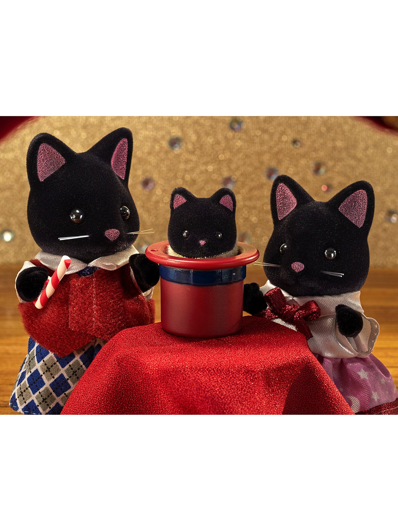 Midnight Cat Family