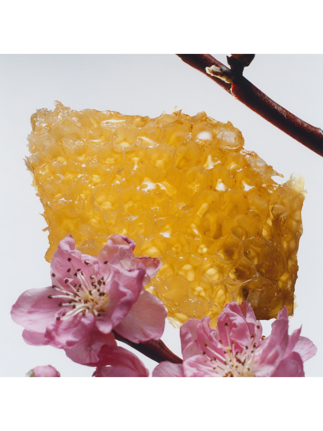 Jo Malone London Nectarine Blossom and Honey Home Candle 20