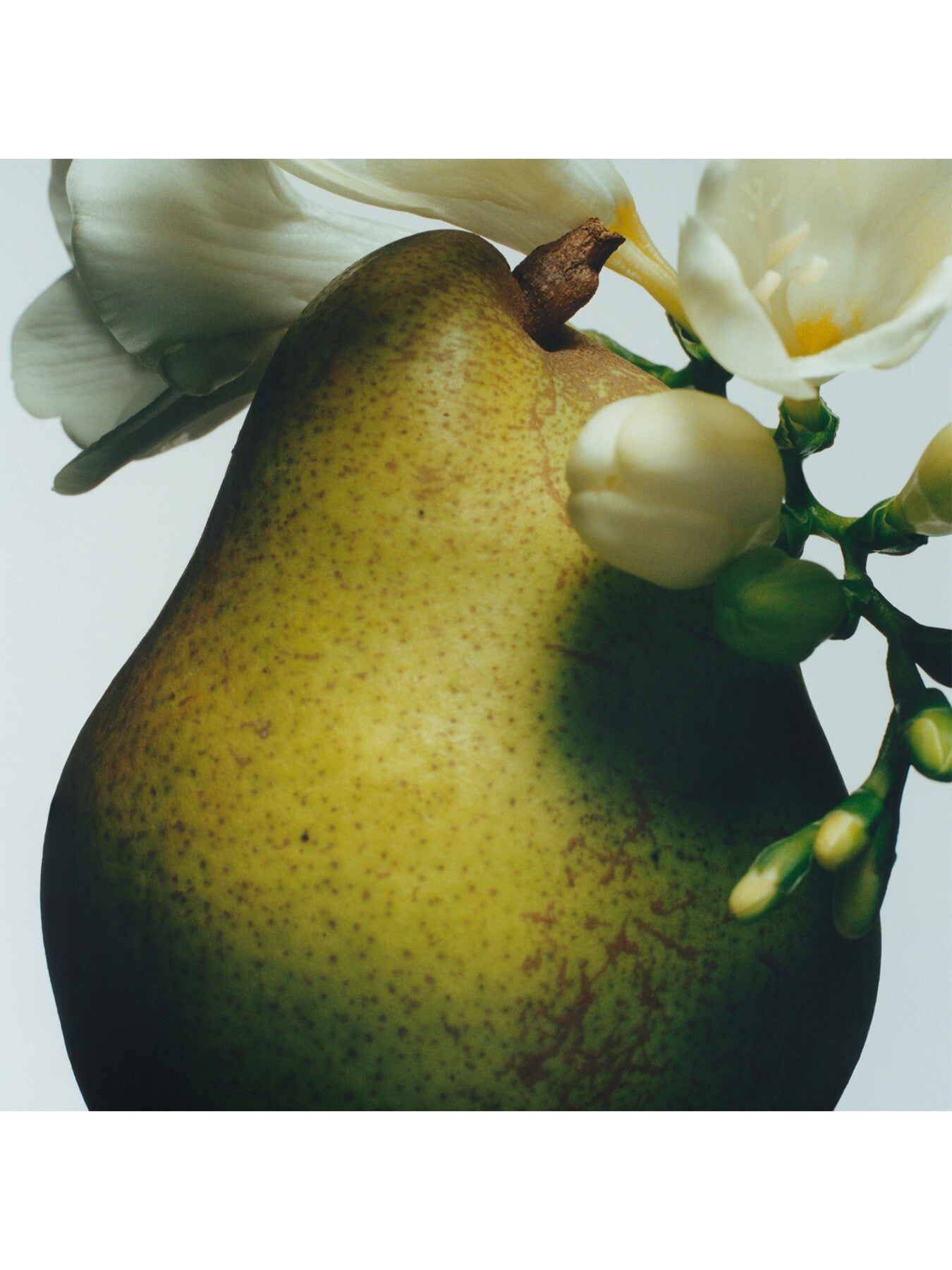 Jo Malone London English Pear and Freesia Travel Candle 65g