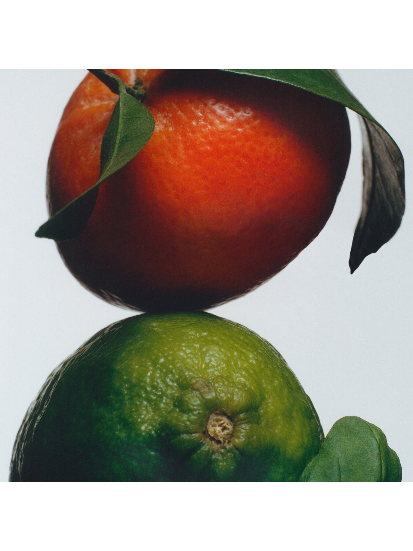 Lime Basil & Mandarin Conditioner 250ml