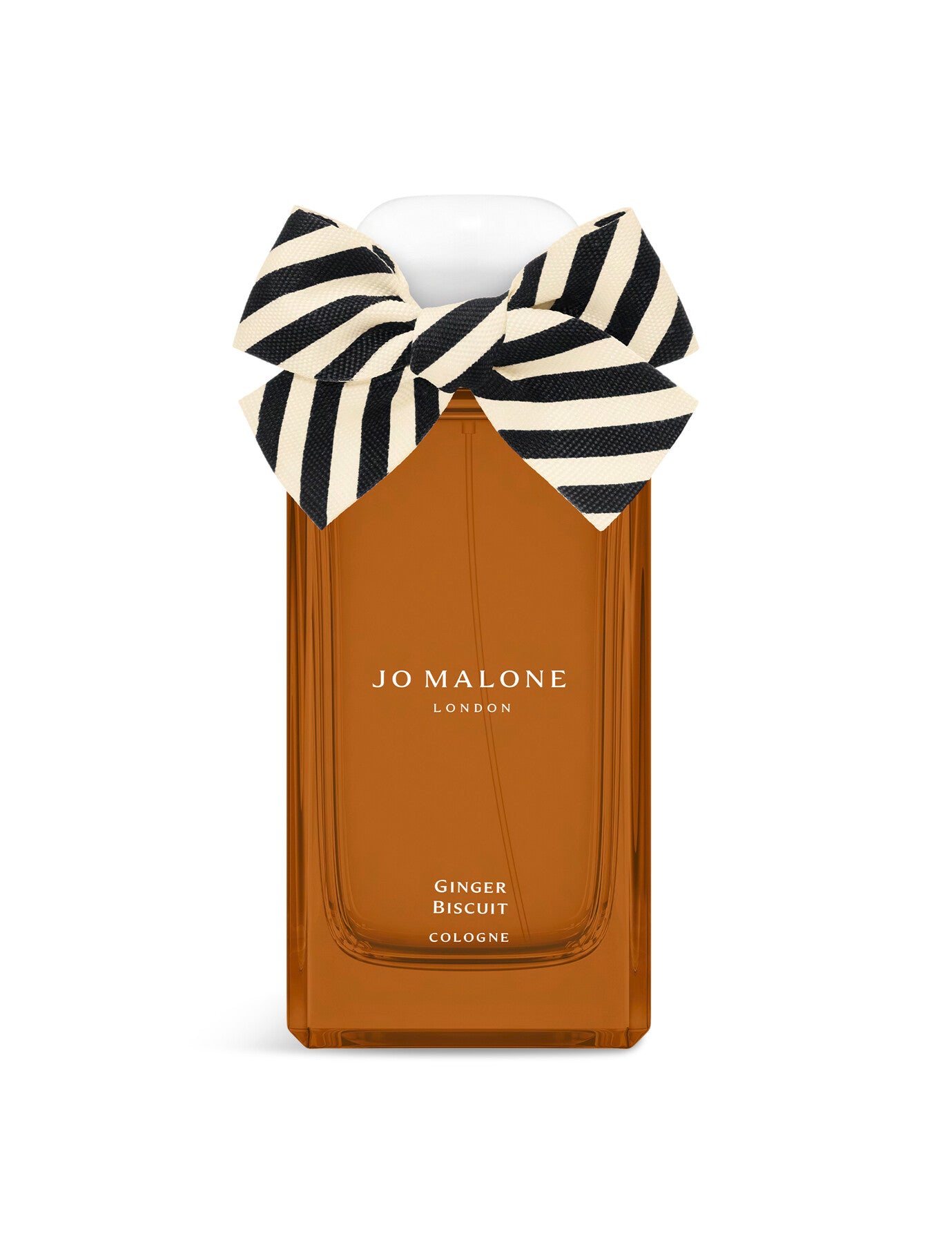 Ginger Biscuit 100ml