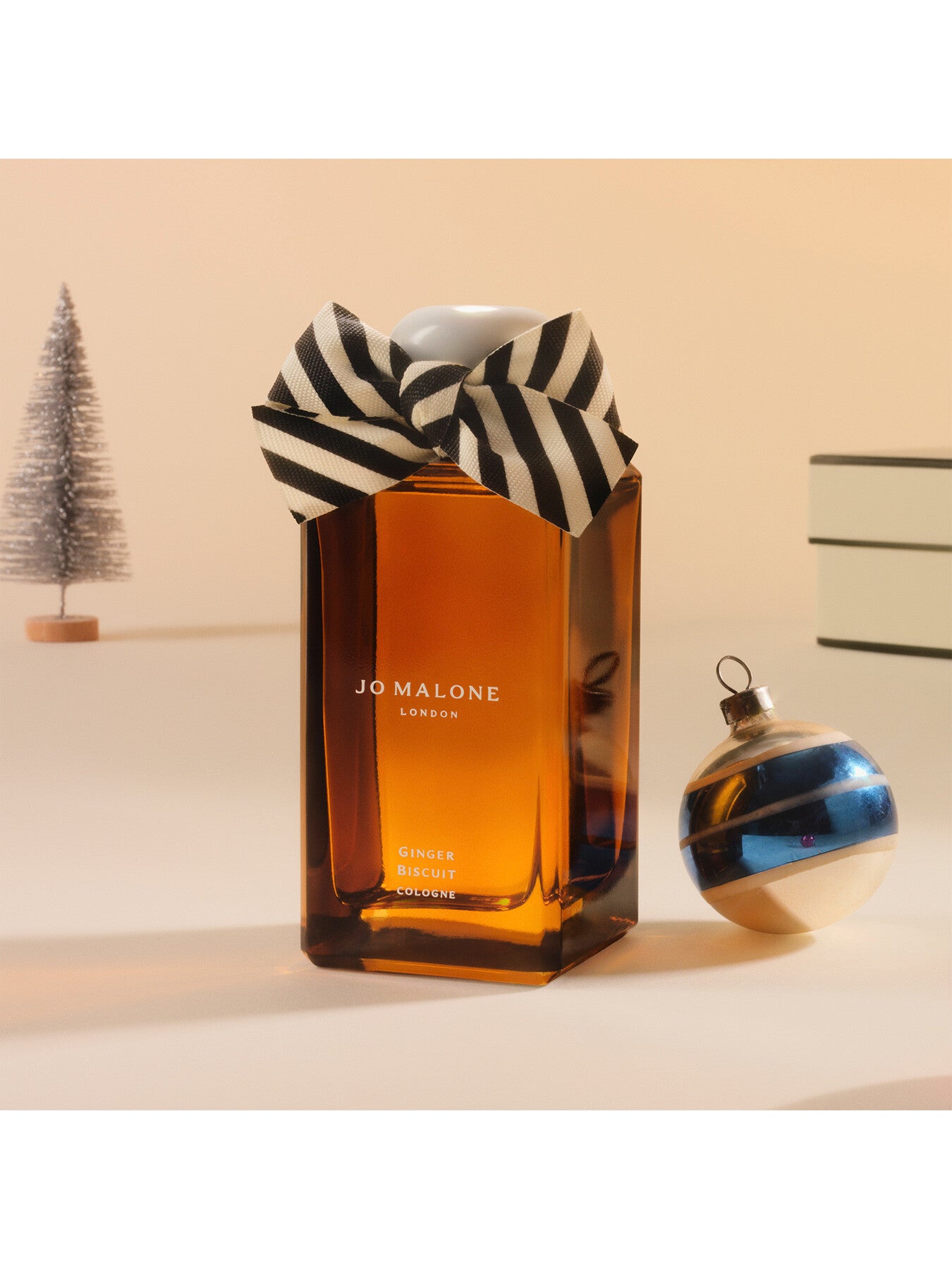Ginger Biscuit 100ml