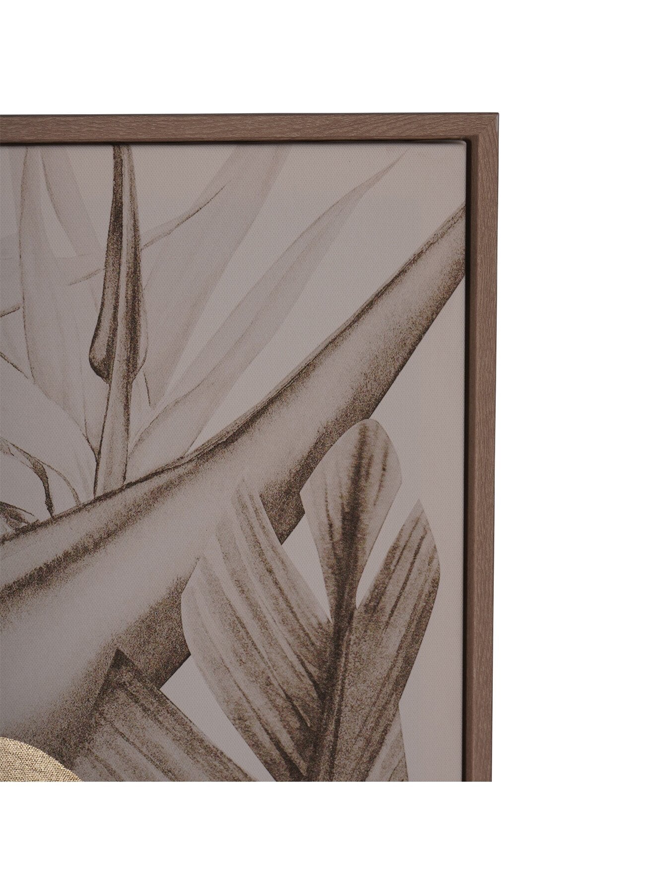 Framed Tropical Birds 3 Piece Canvas