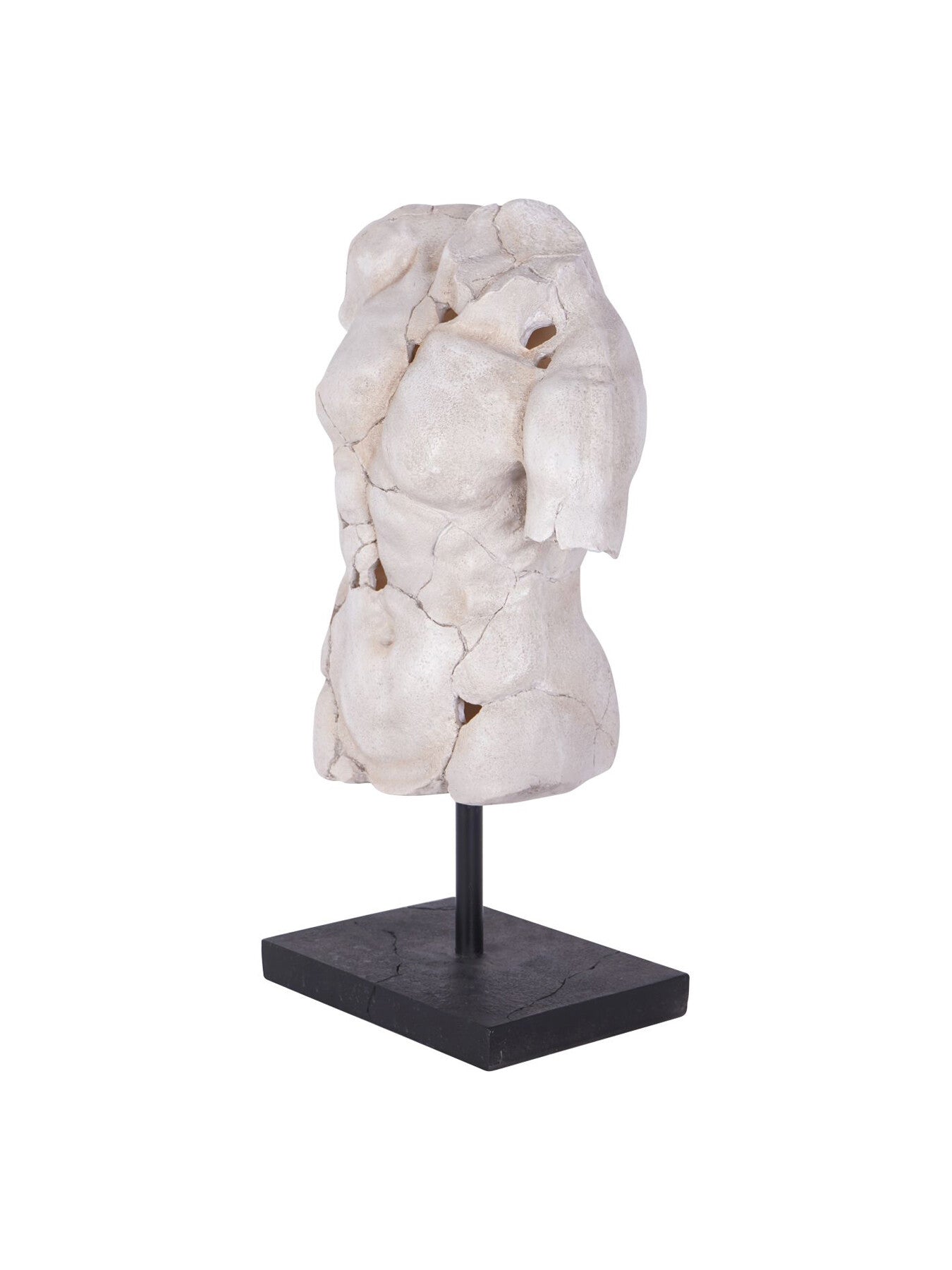 Male Torso on Stand