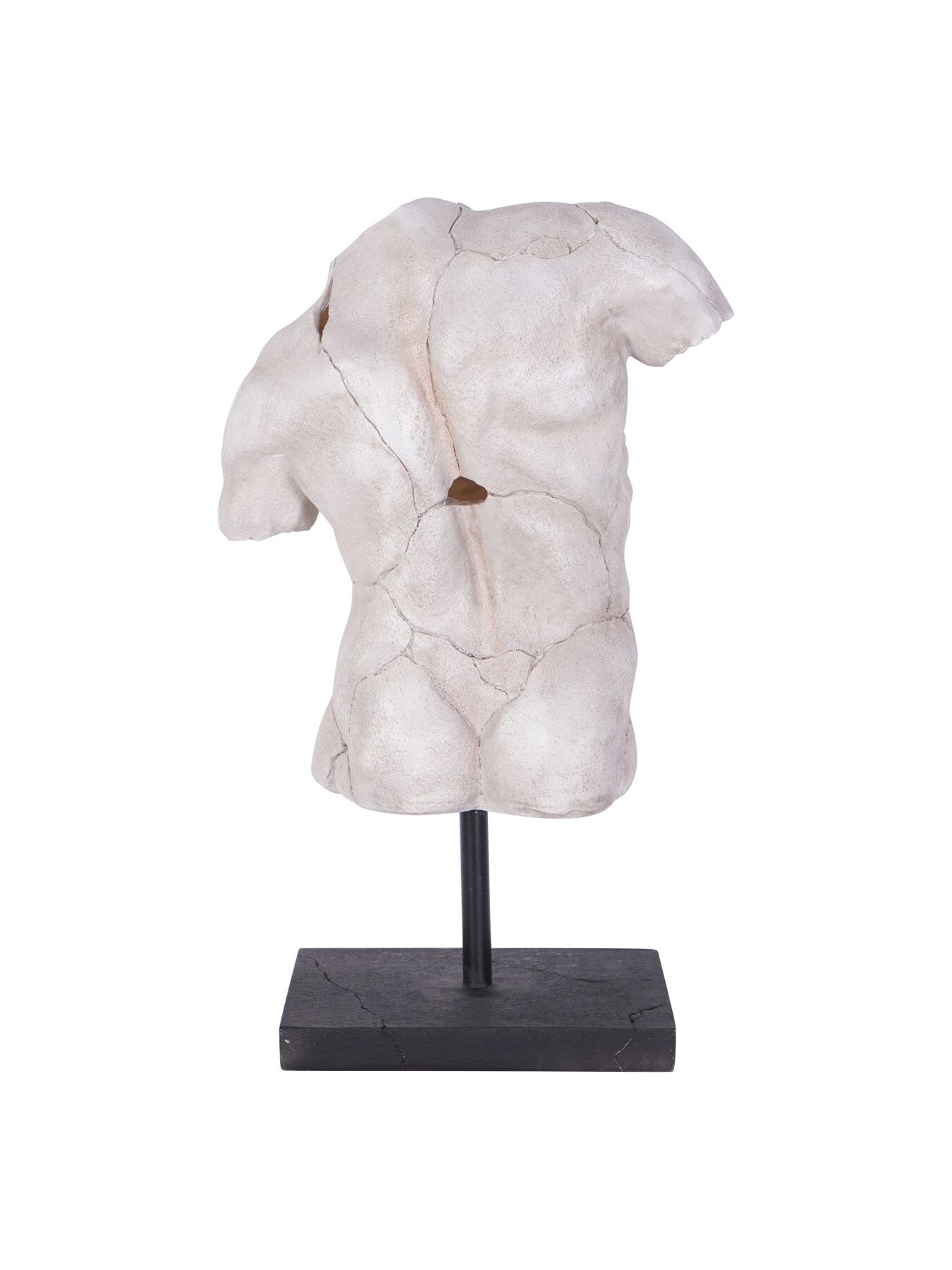 Male Torso on Stand