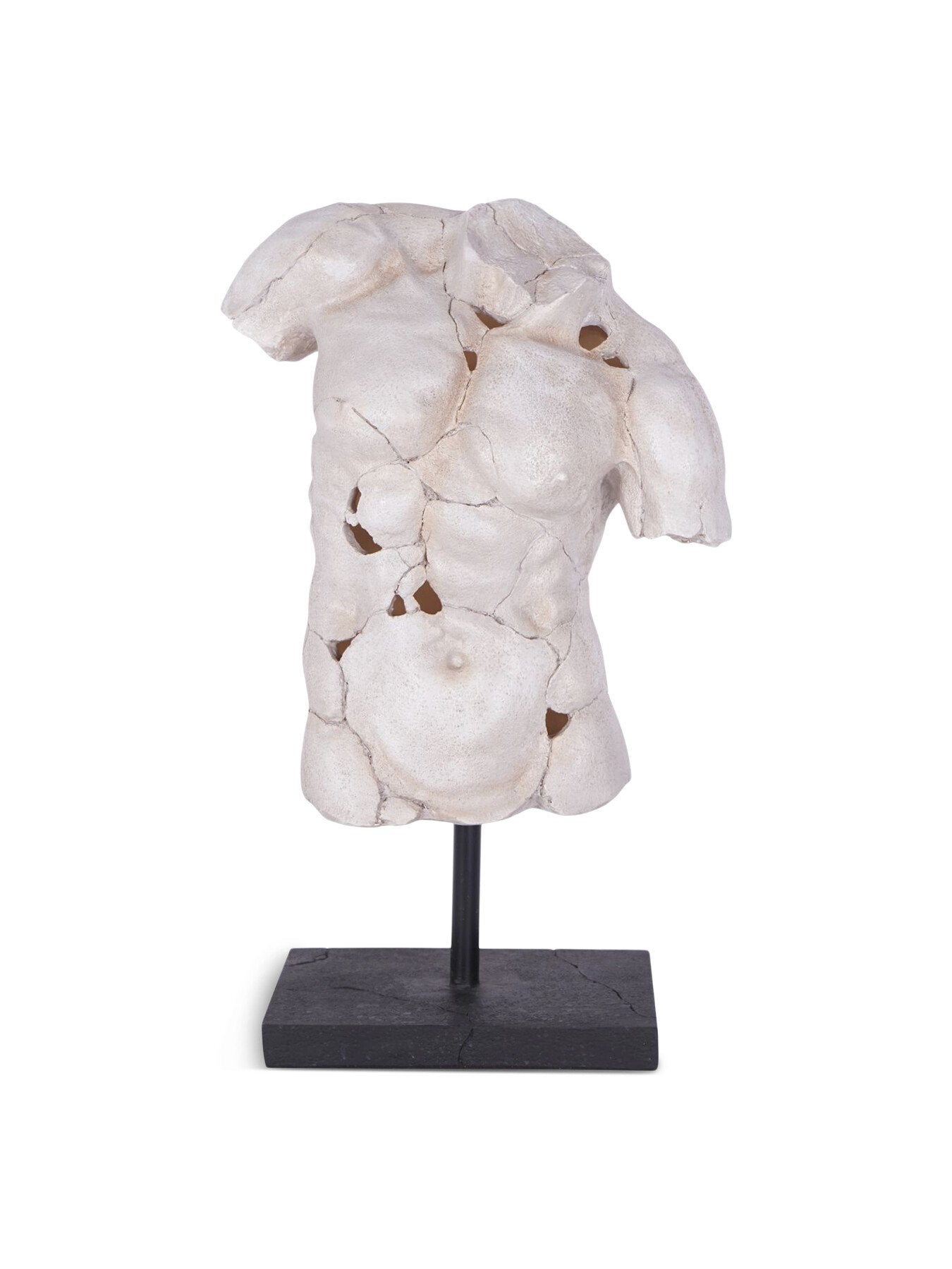 Male Torso on Stand