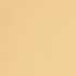 Warm Beige