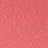 Calypso Coral