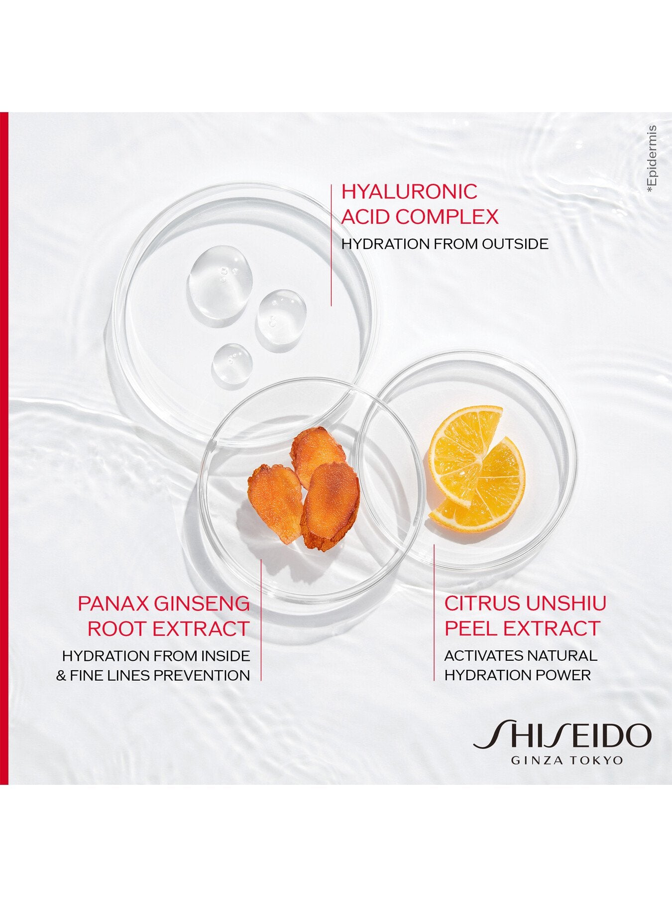 Essential Energy Hydrating Day Cream SPF 20 50ml