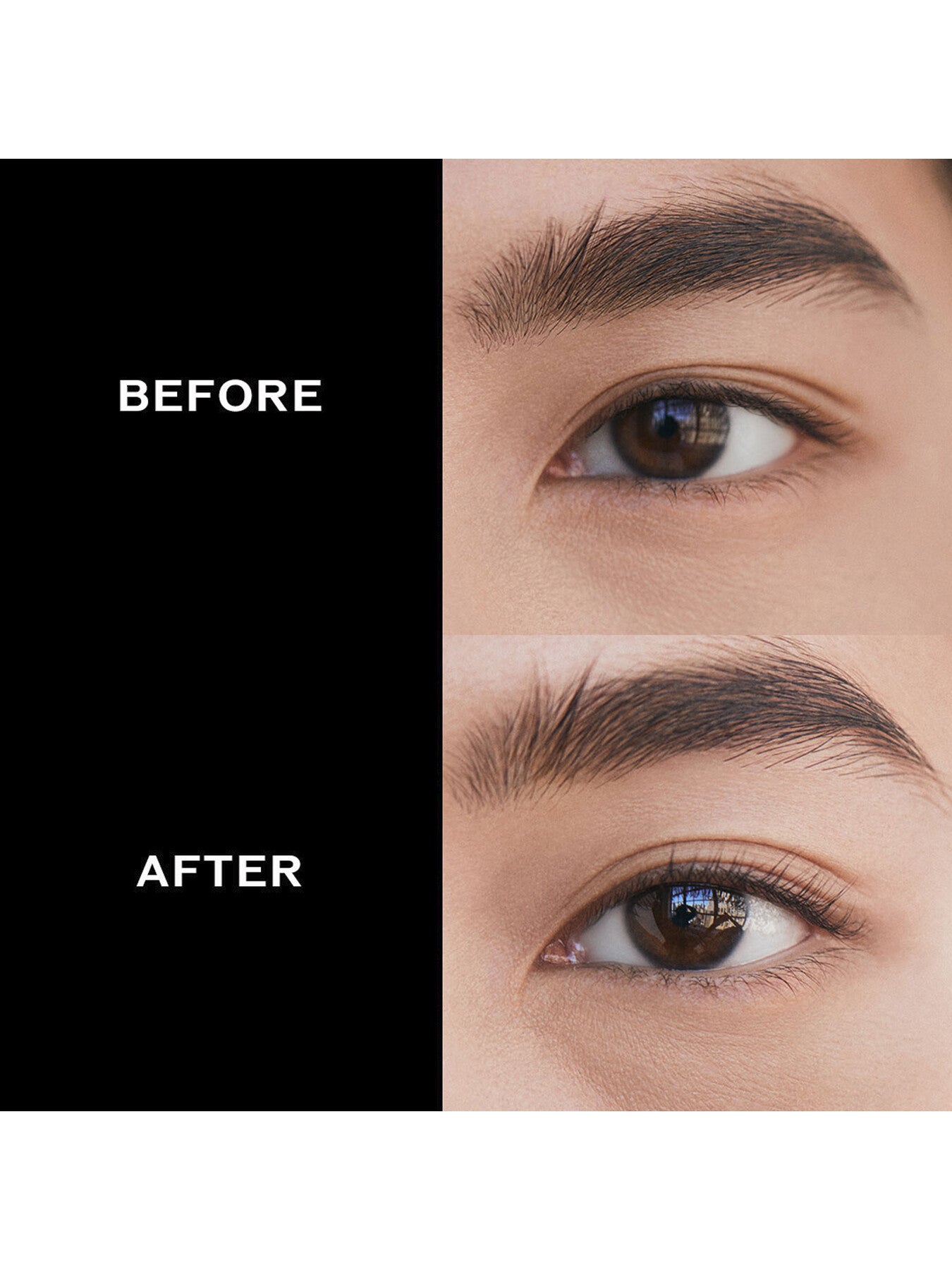 Eyelash Curler