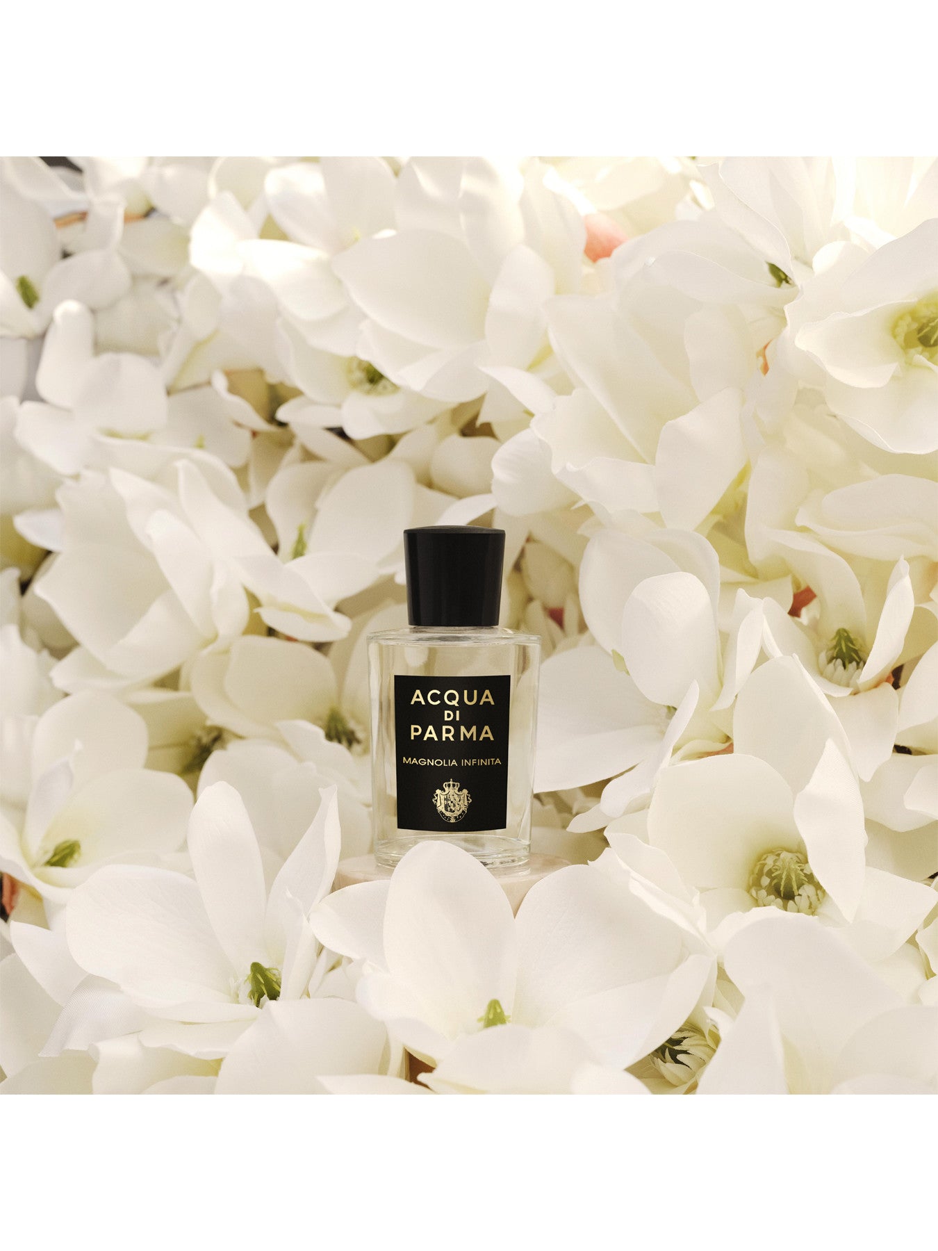 Magnolia Infinita Eau de Parfum 100ml