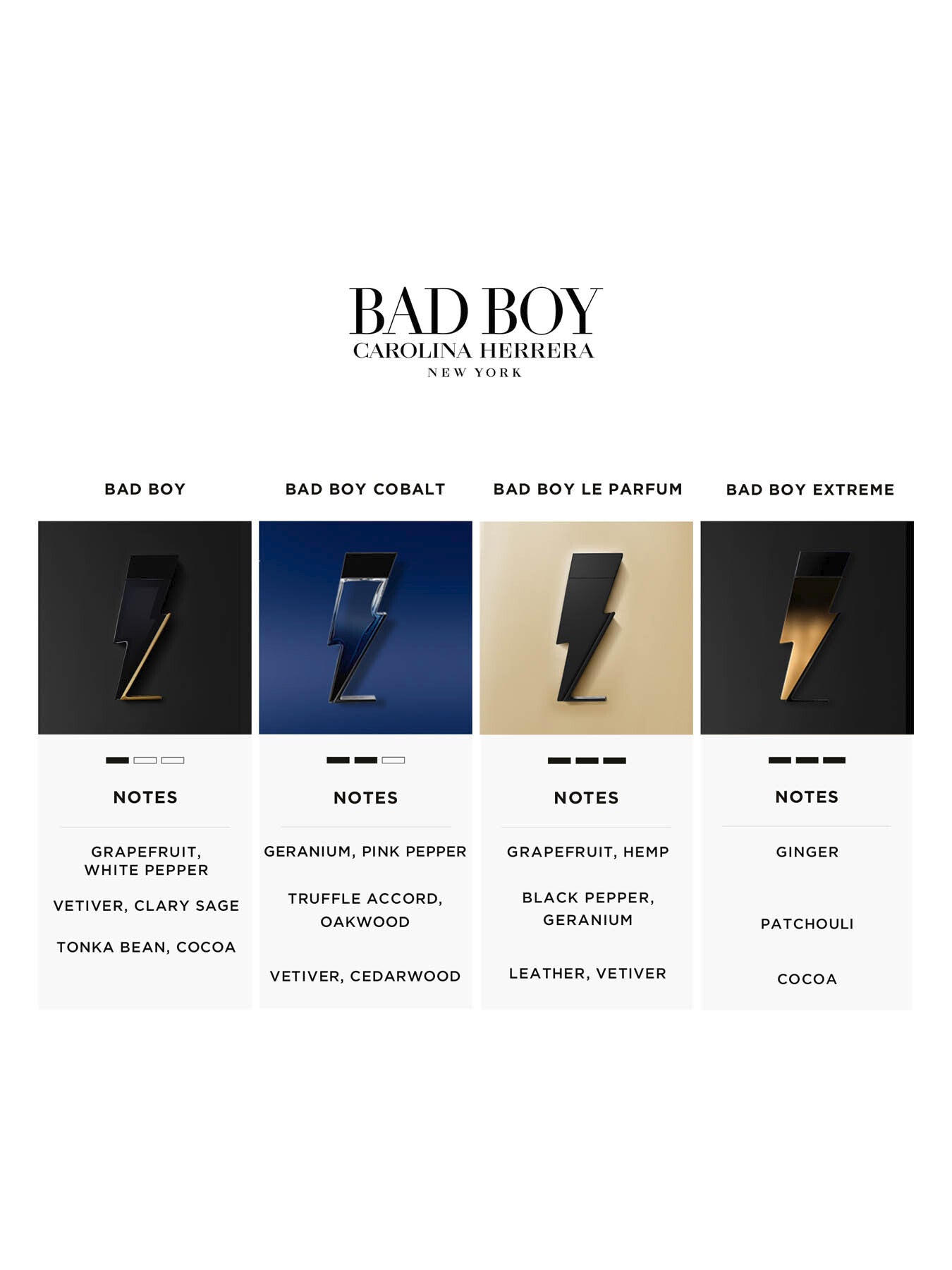 Bad Boy Extreme Eau de Parfum 100ml