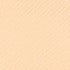 2N1 Desert Beige