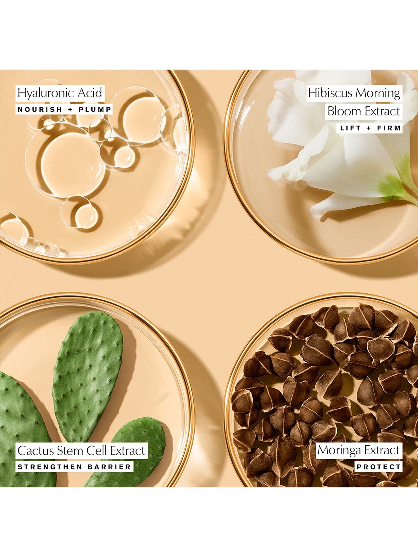 Revitalizing Supreme Youth Power Soft Creme Moisturiser 50ml