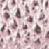 PINK COMBINATION