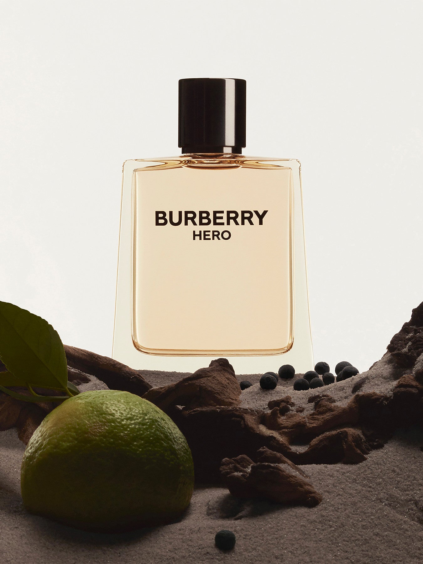 Burberry Hero Eau de Toilette 100ml
