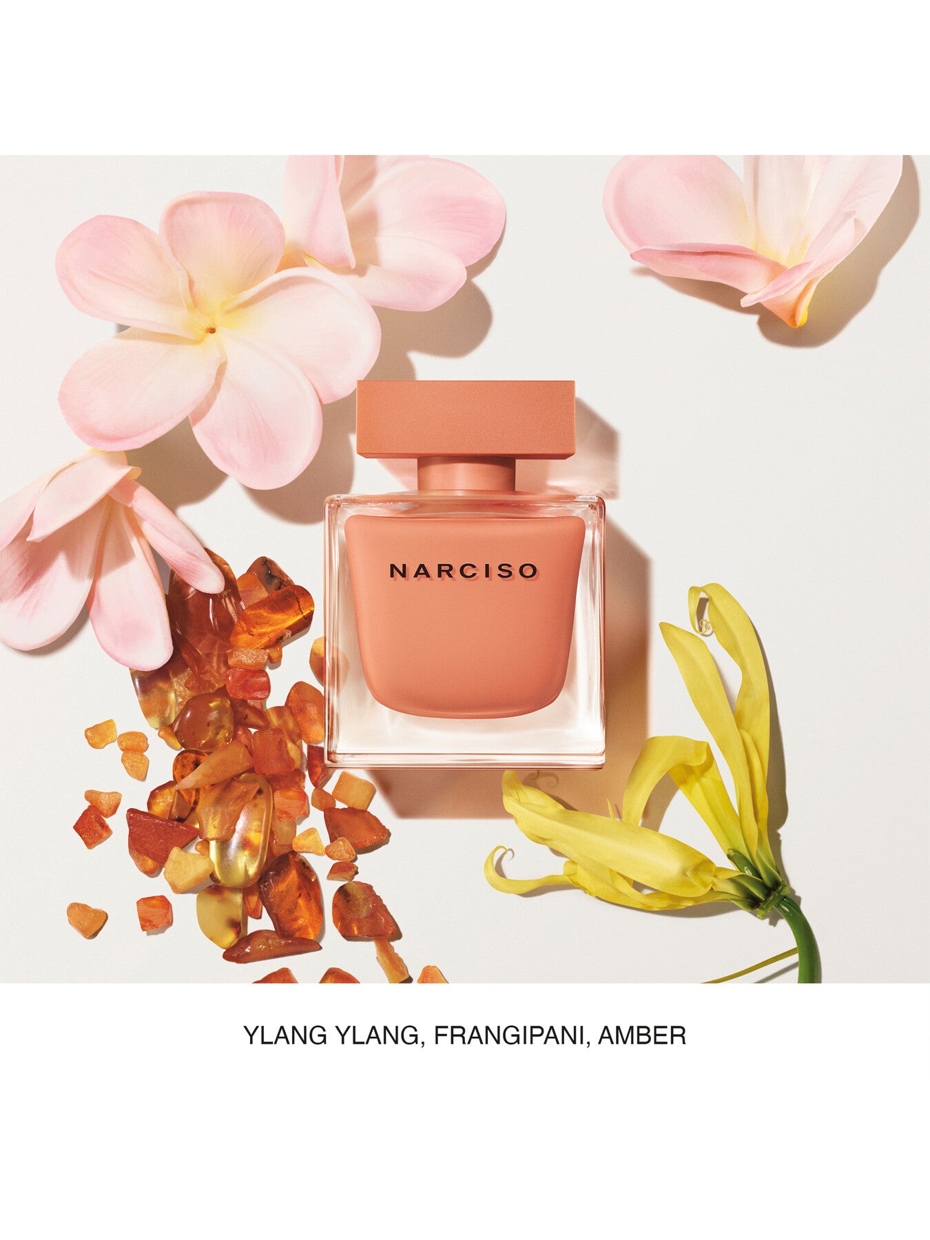 Narciso Ambree Eau de Parfum 50ml
