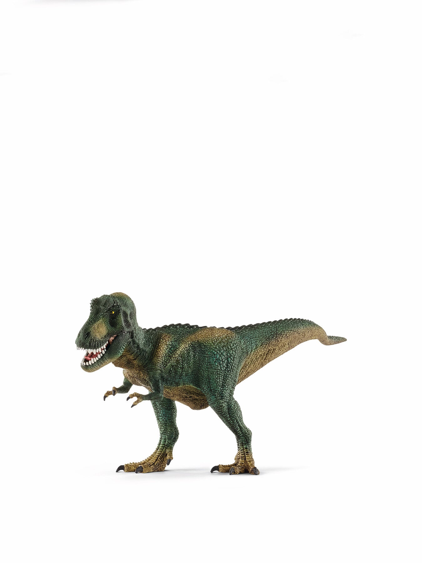 Tyrannosaurus Rex