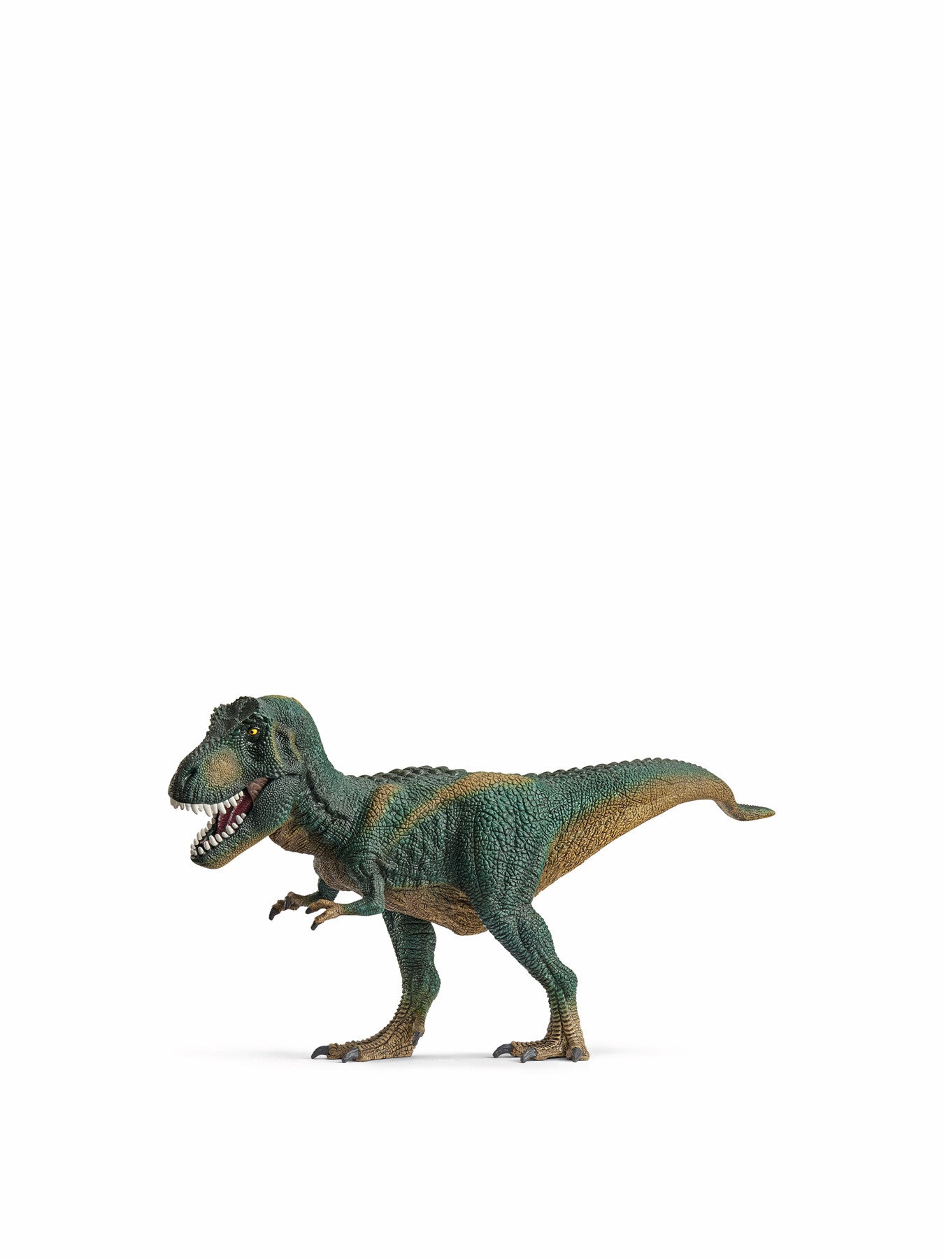 Tyrannosaurus Rex