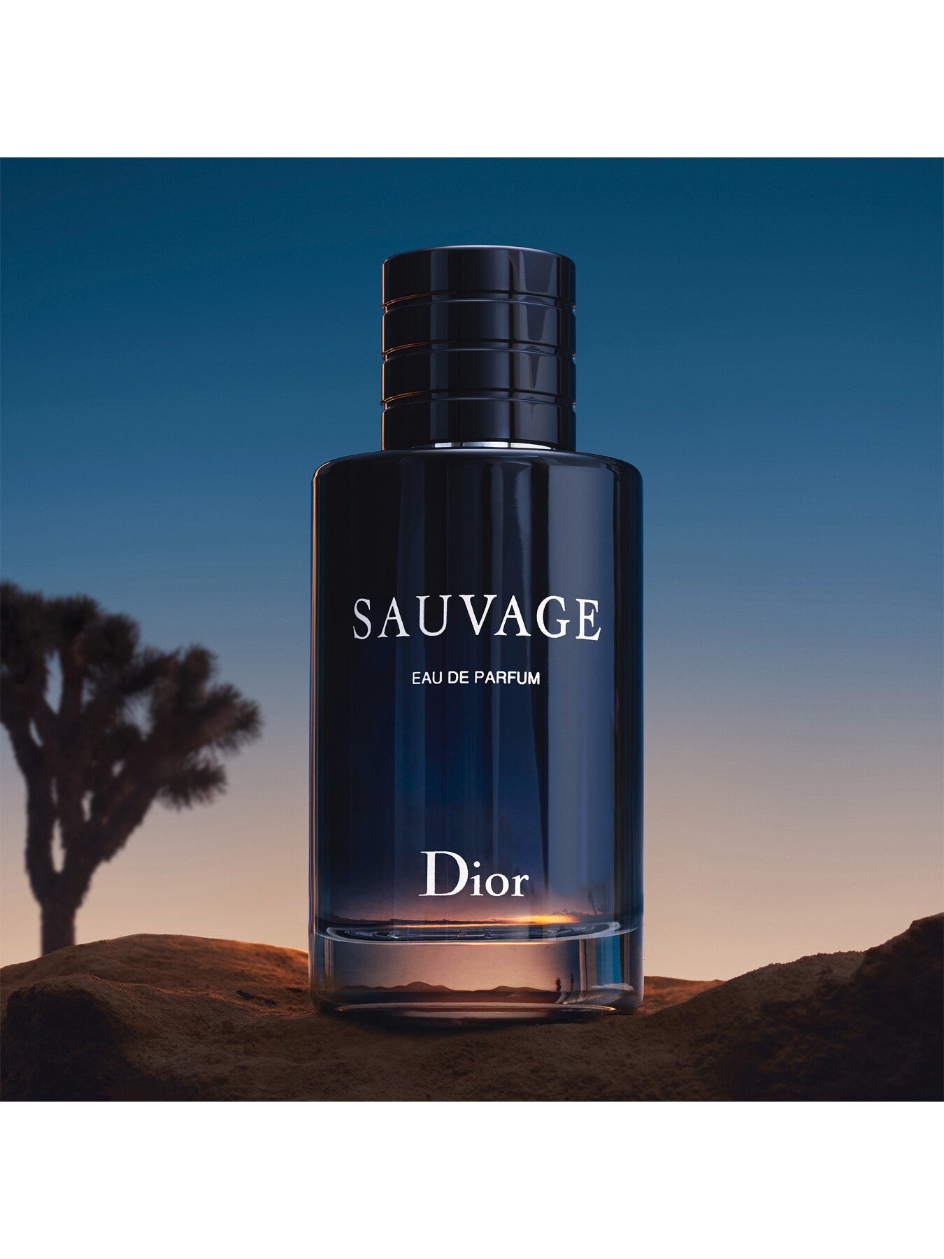 Sauvage Eau de Parfum 200ml