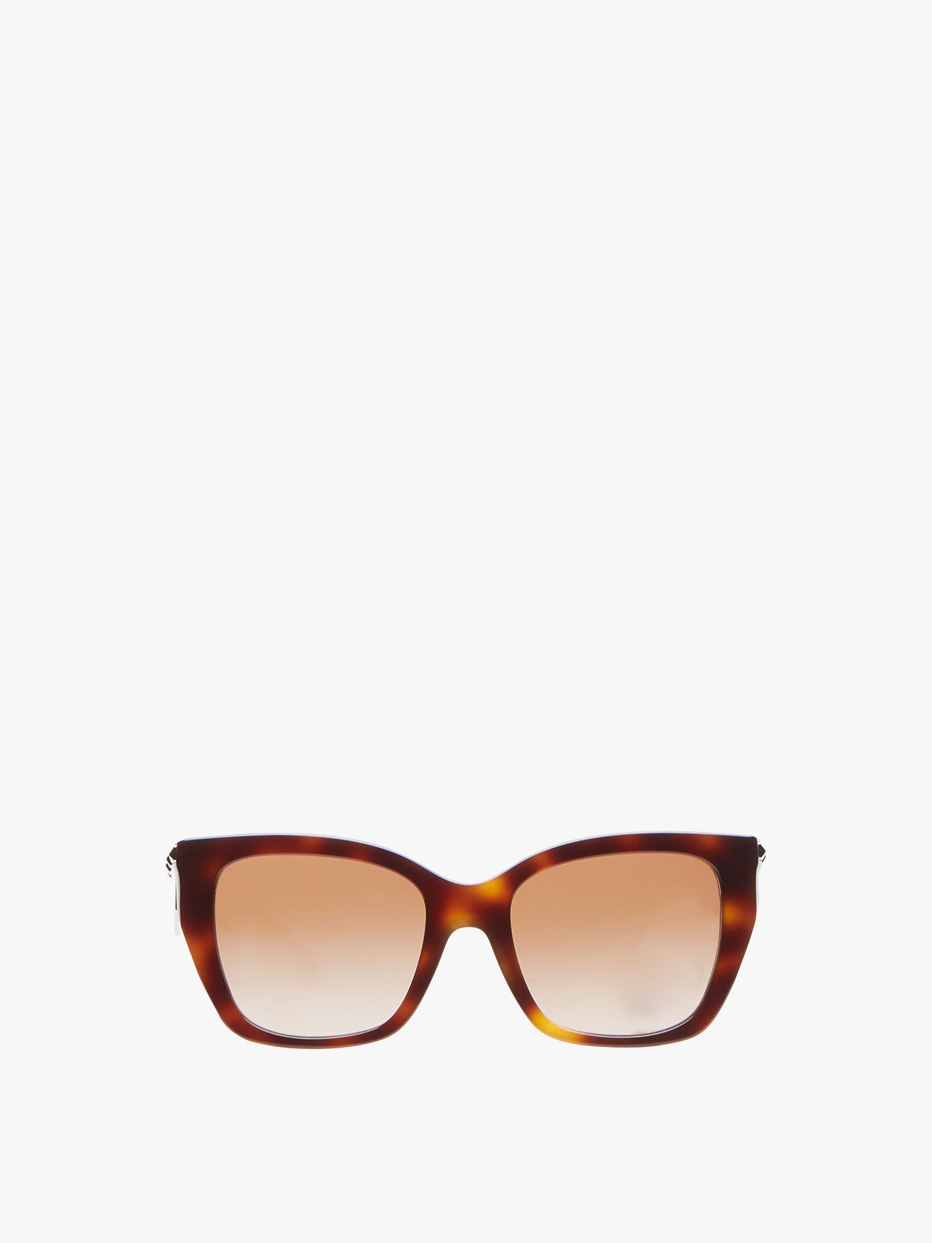 Stud Temple Sunglasses