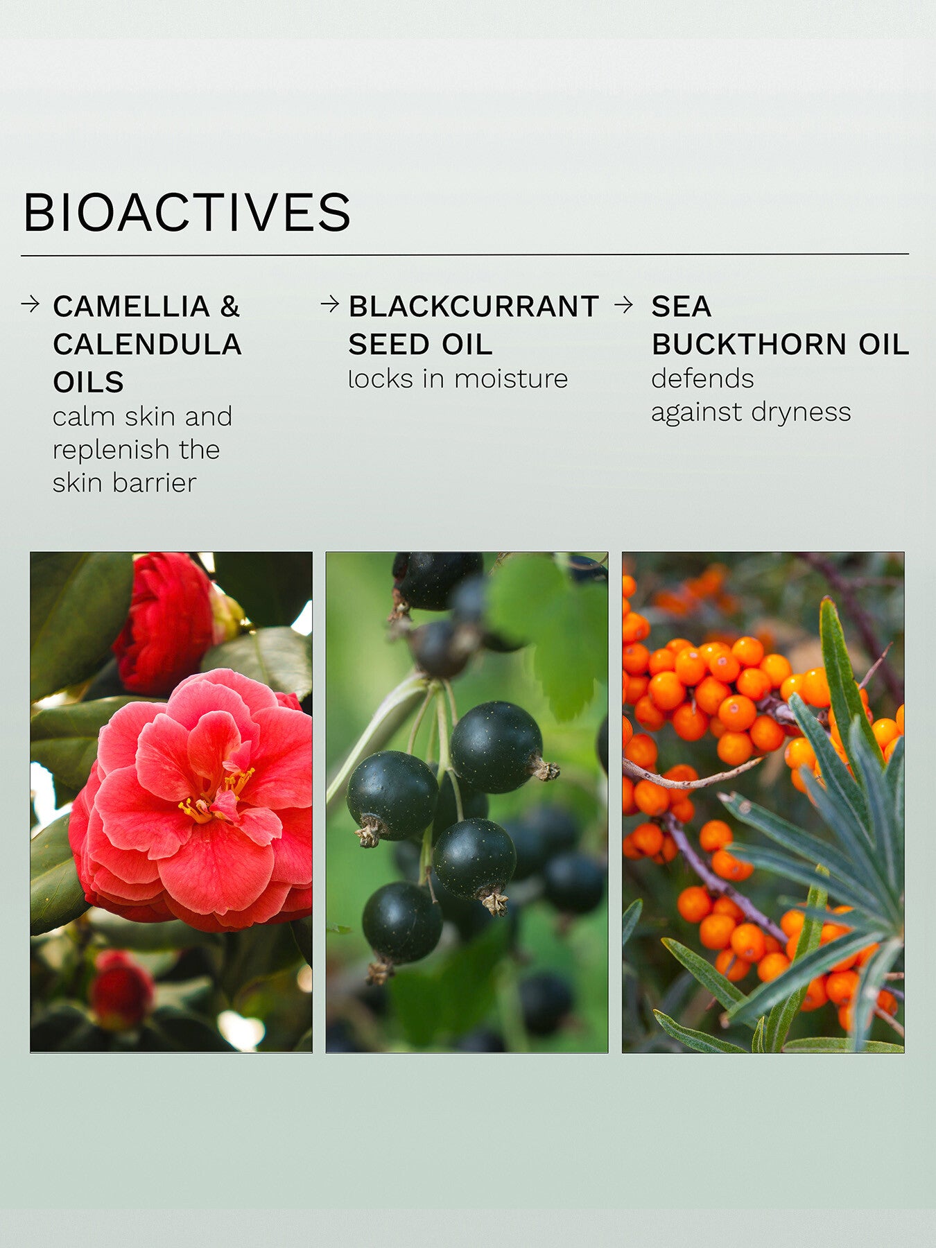Evercalm™ Global Protection Day Cream