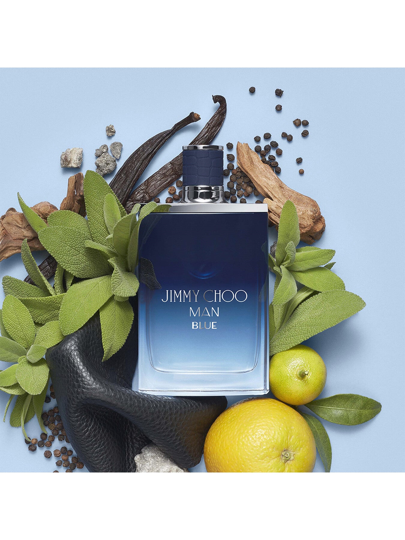 Man Blue Eau de Toilette 100ml