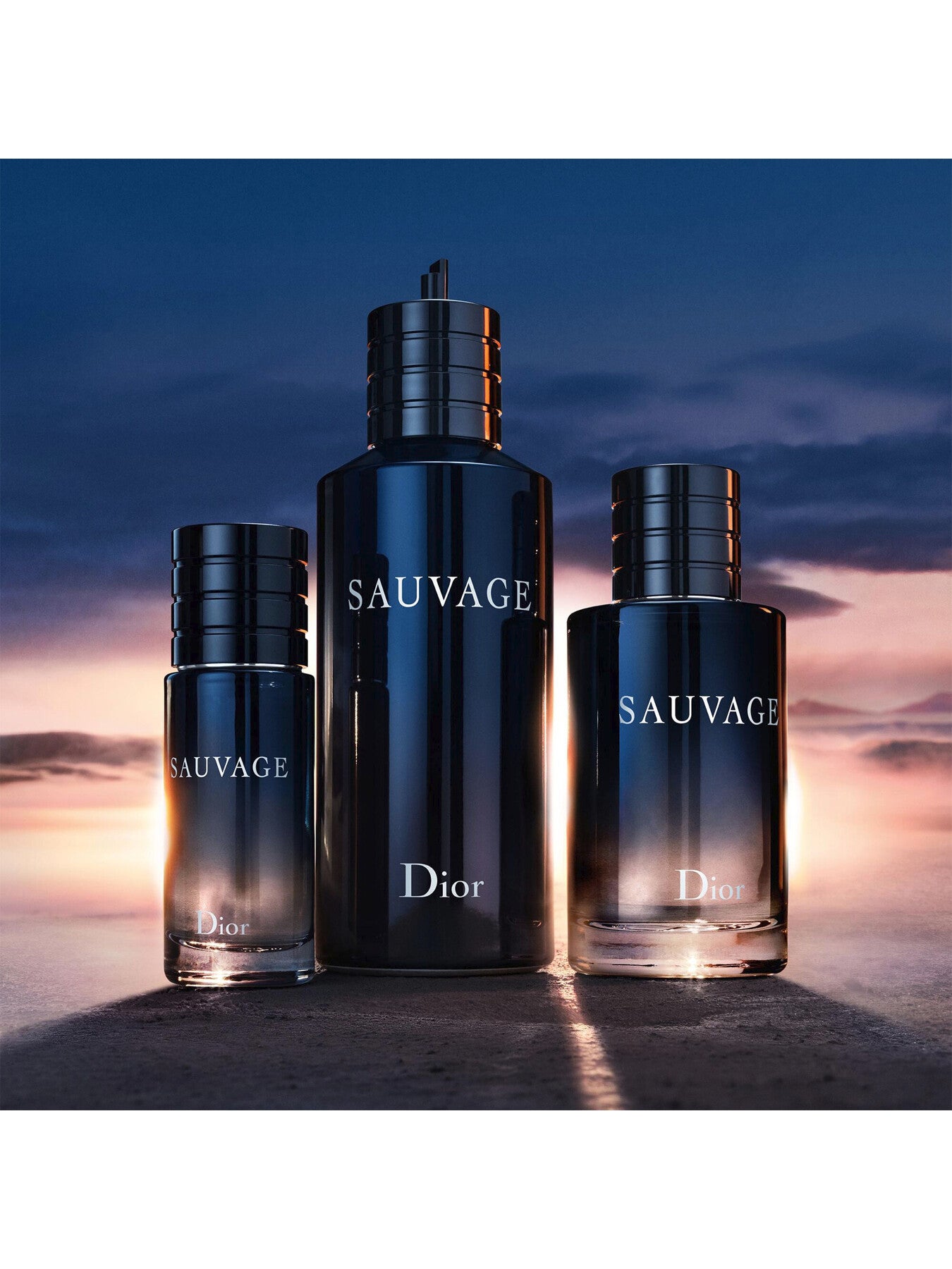Dior SAUVAGE PARFUM 100ml Sauvage Parfum: Citrus and Woody