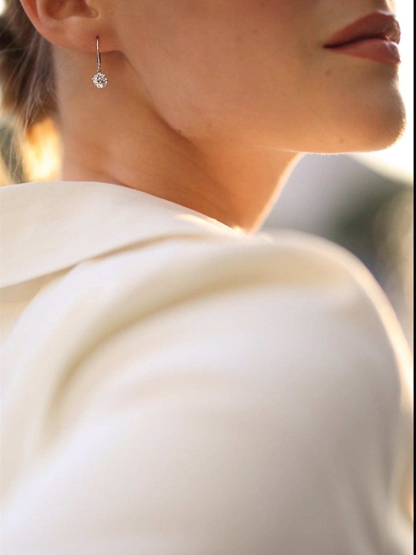 Briar Round Drop Euroback Earrings