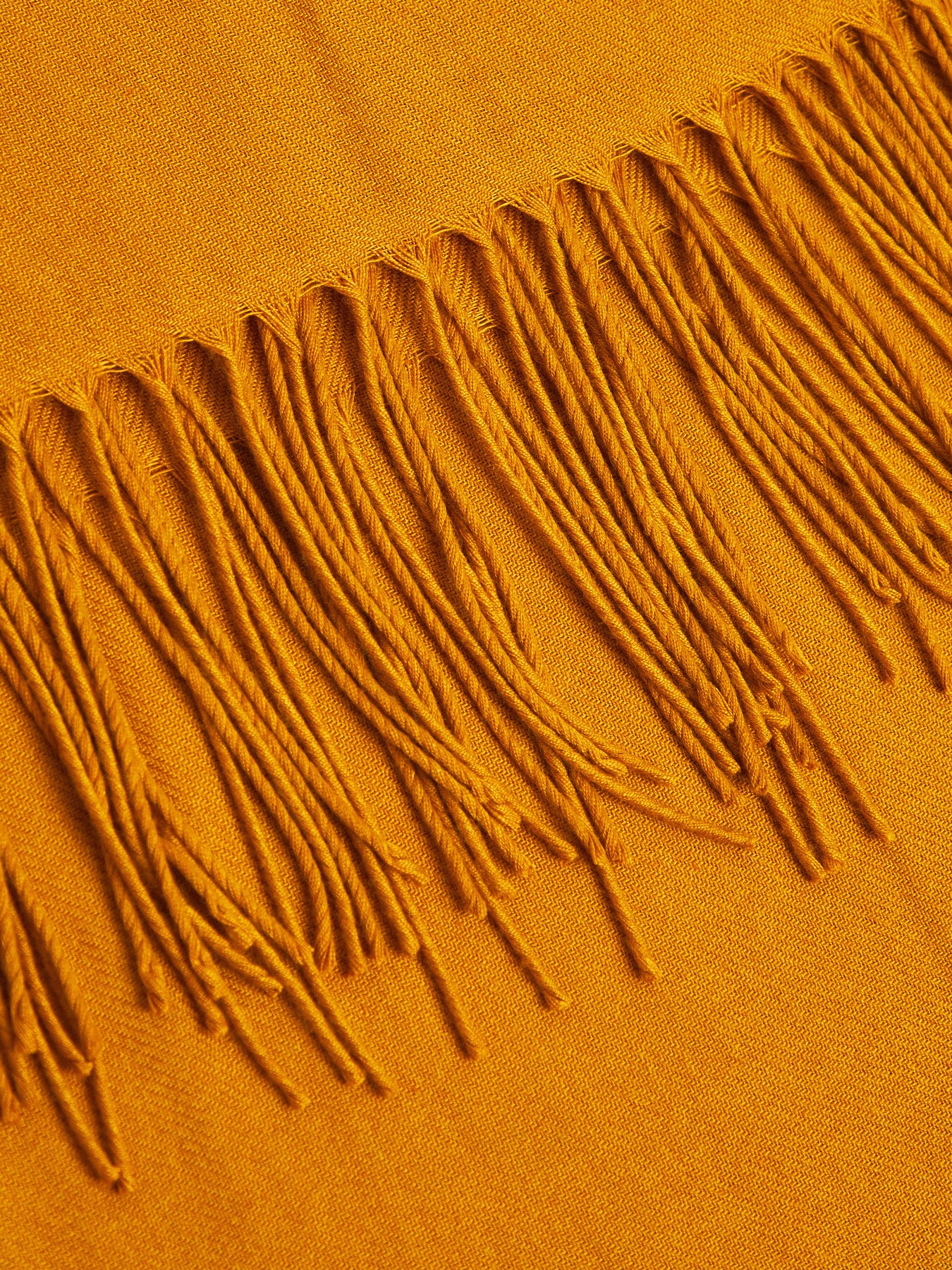 Pashmina