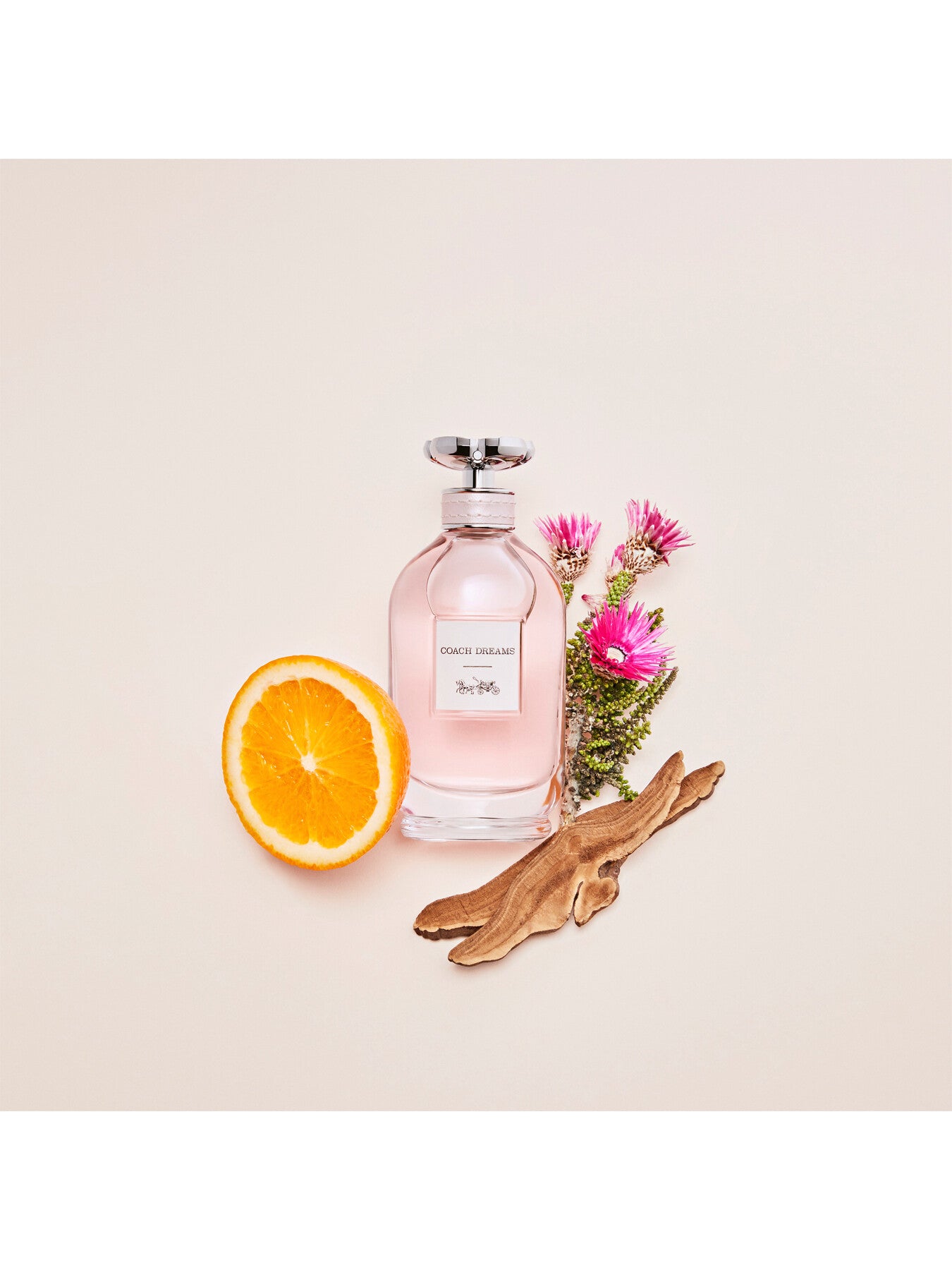 Dreams Eau de Parfum 60ml