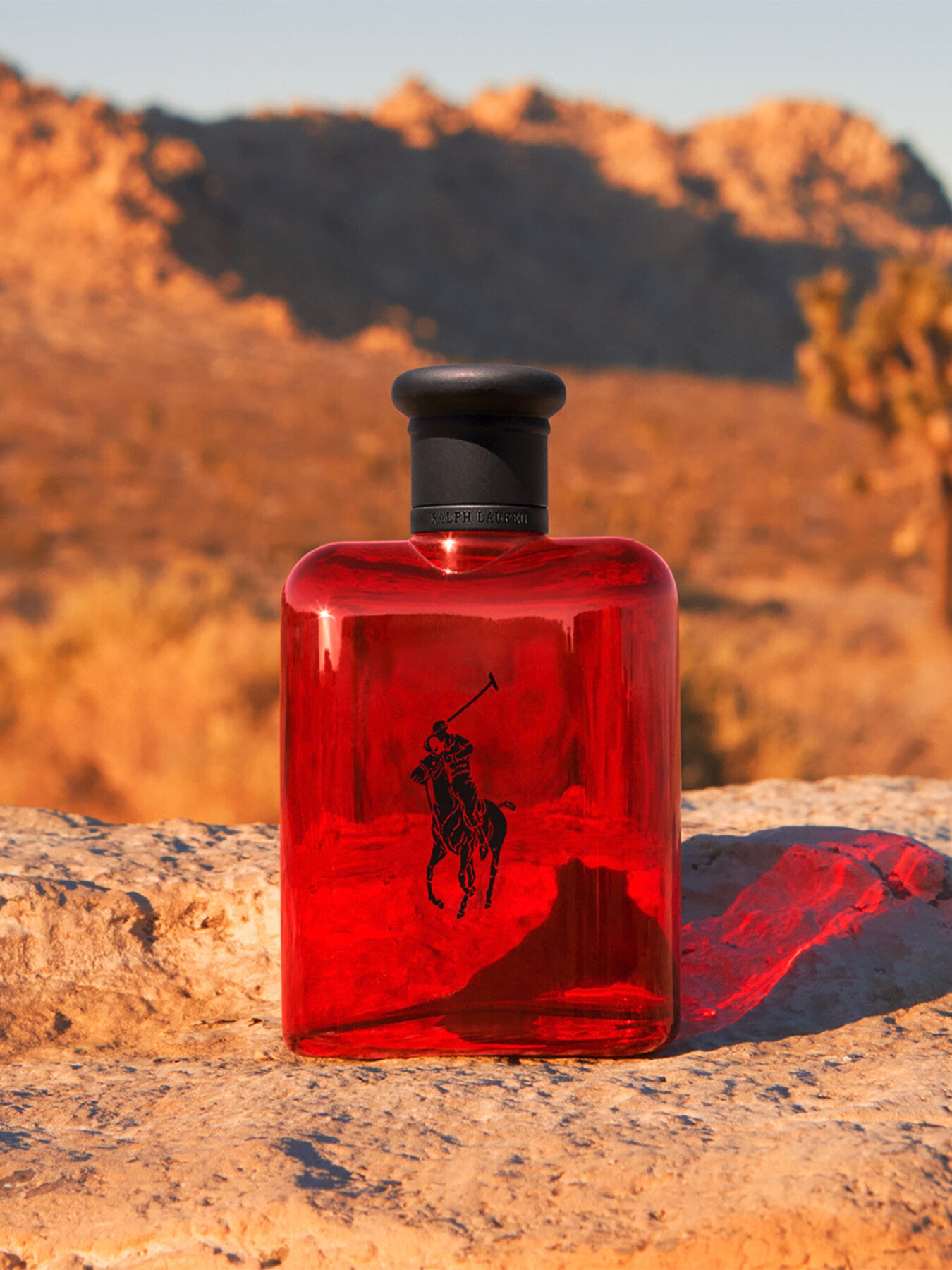 Polo Red Eau de Toilette 125ml