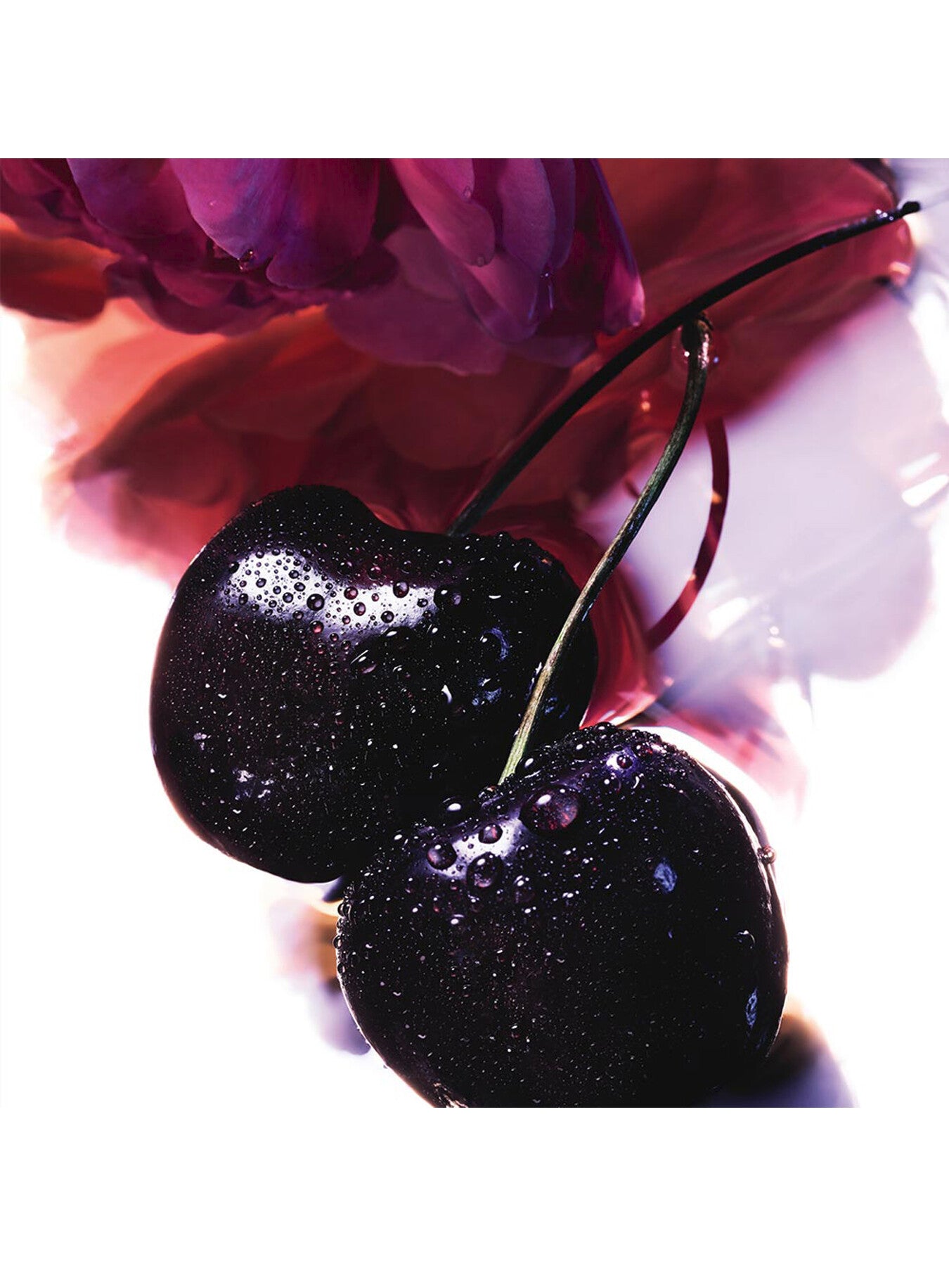 La Petite Robe Noire Eau de Parfum 30 ml