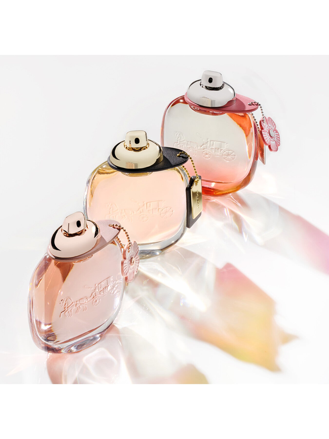 Eau de Parfum 50ml